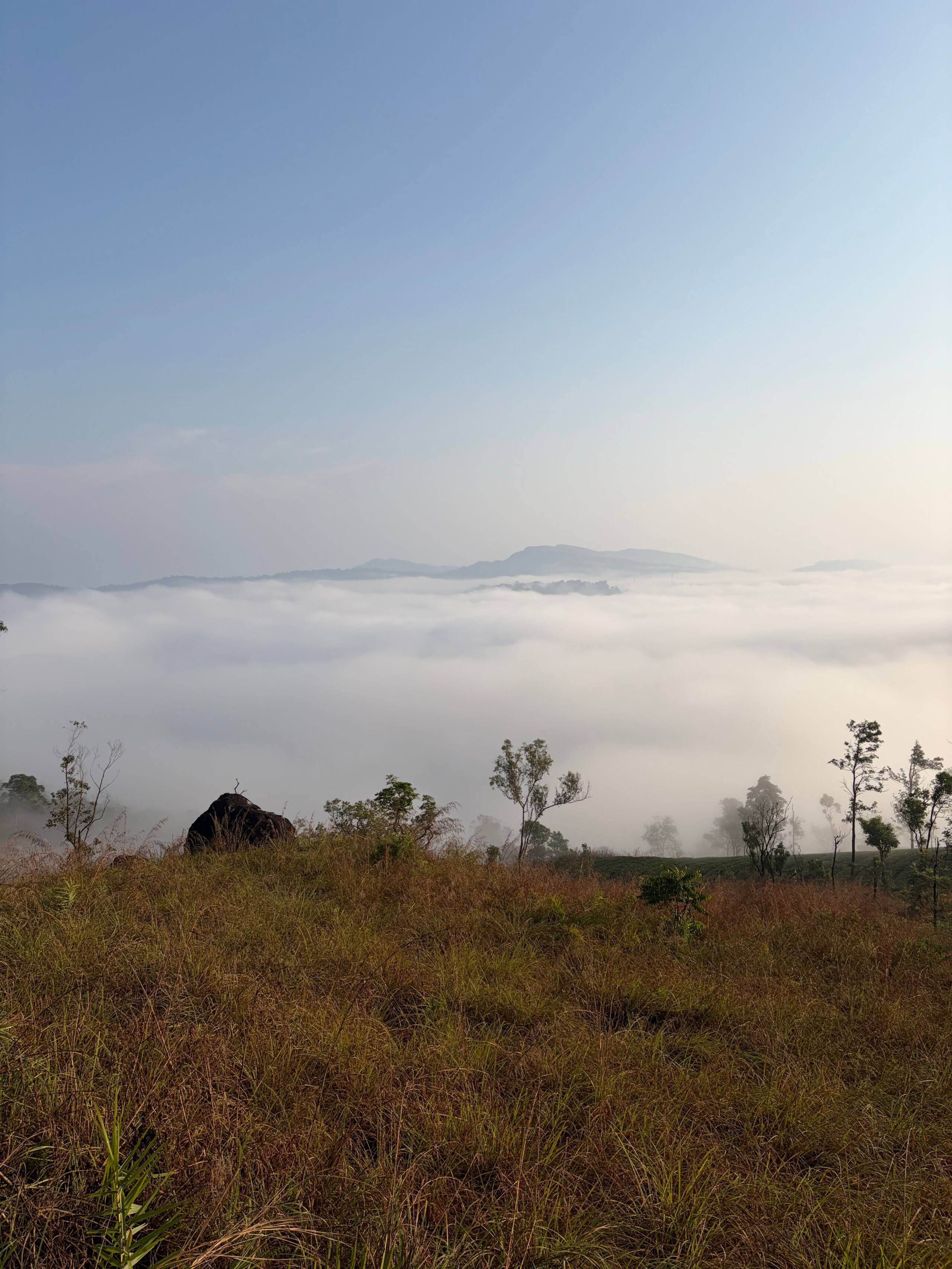 Private 1 Bedroom Villa @Thumpayil Tea Plantation 28