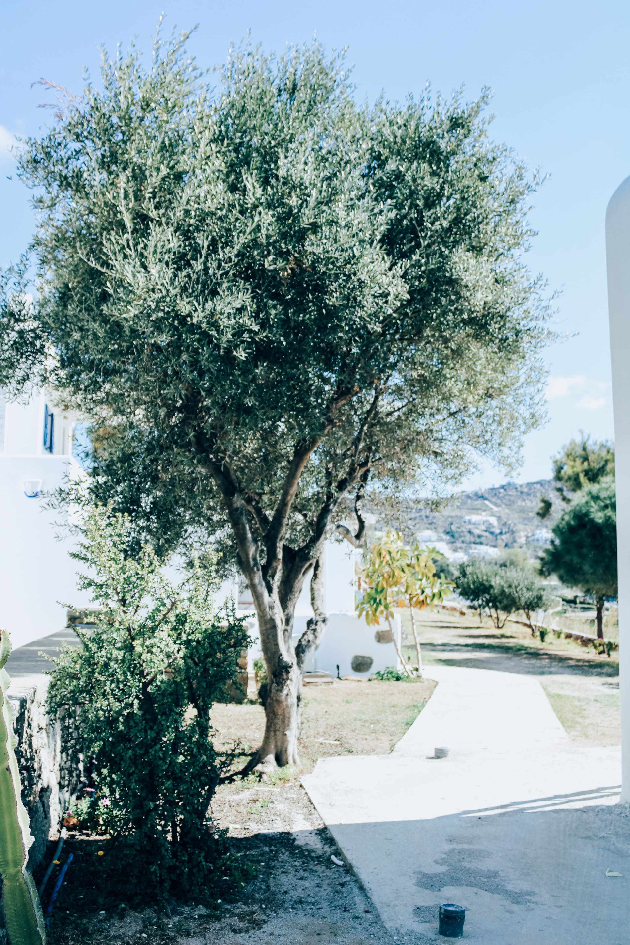 The Elaia House Mykonos 14