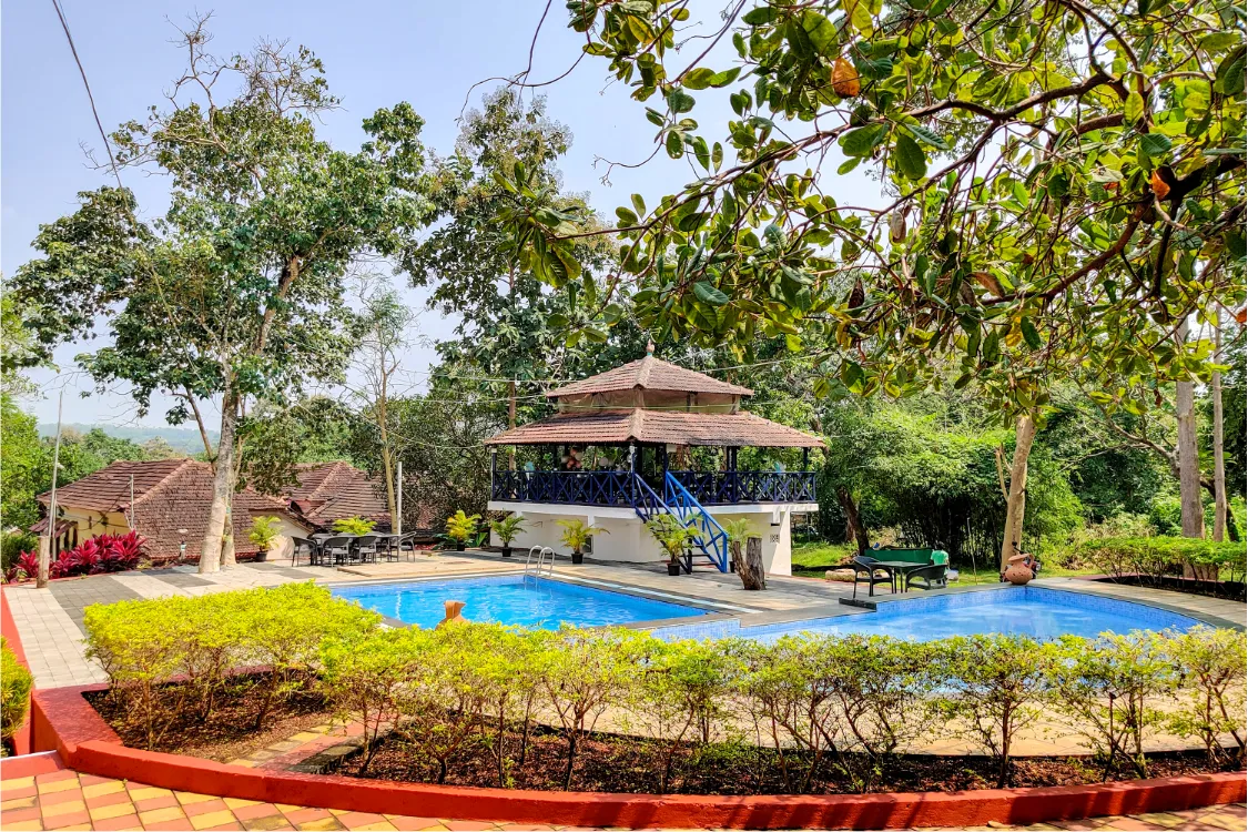 Serena by Casa Clara | Stylish 1BHK with Pool 11