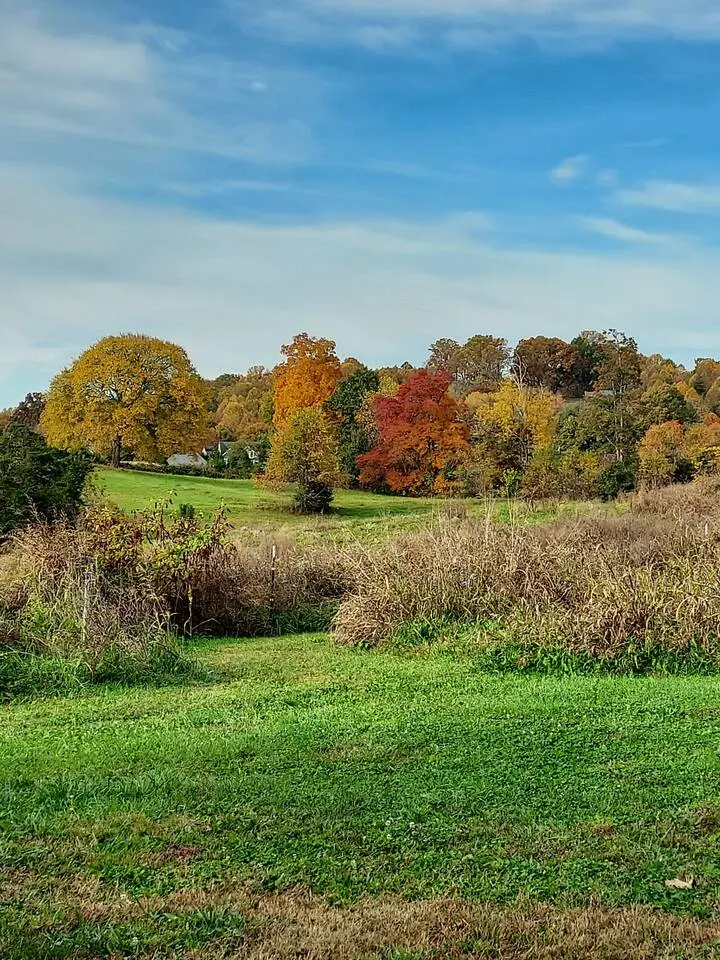Sunset Bliss, cozy 1 bedroom, 1 loft cabin in the heart of Jonesborough, TN 20