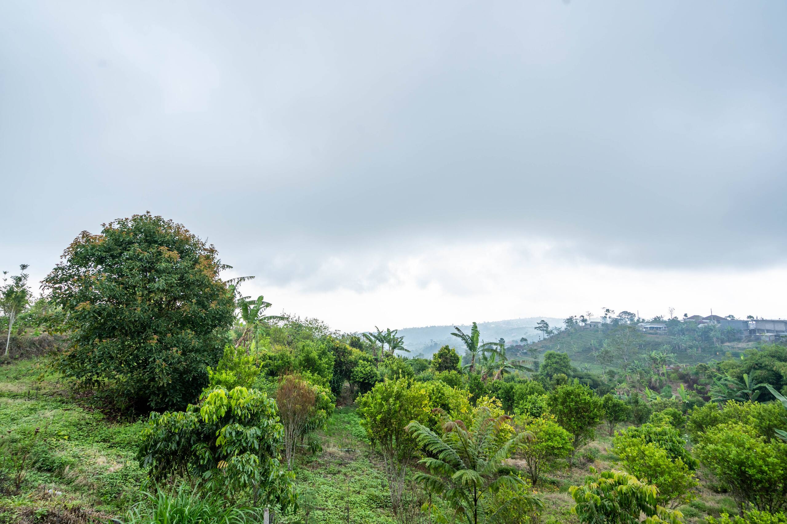 Balinese Mountain View Suites Munduk — photo 5