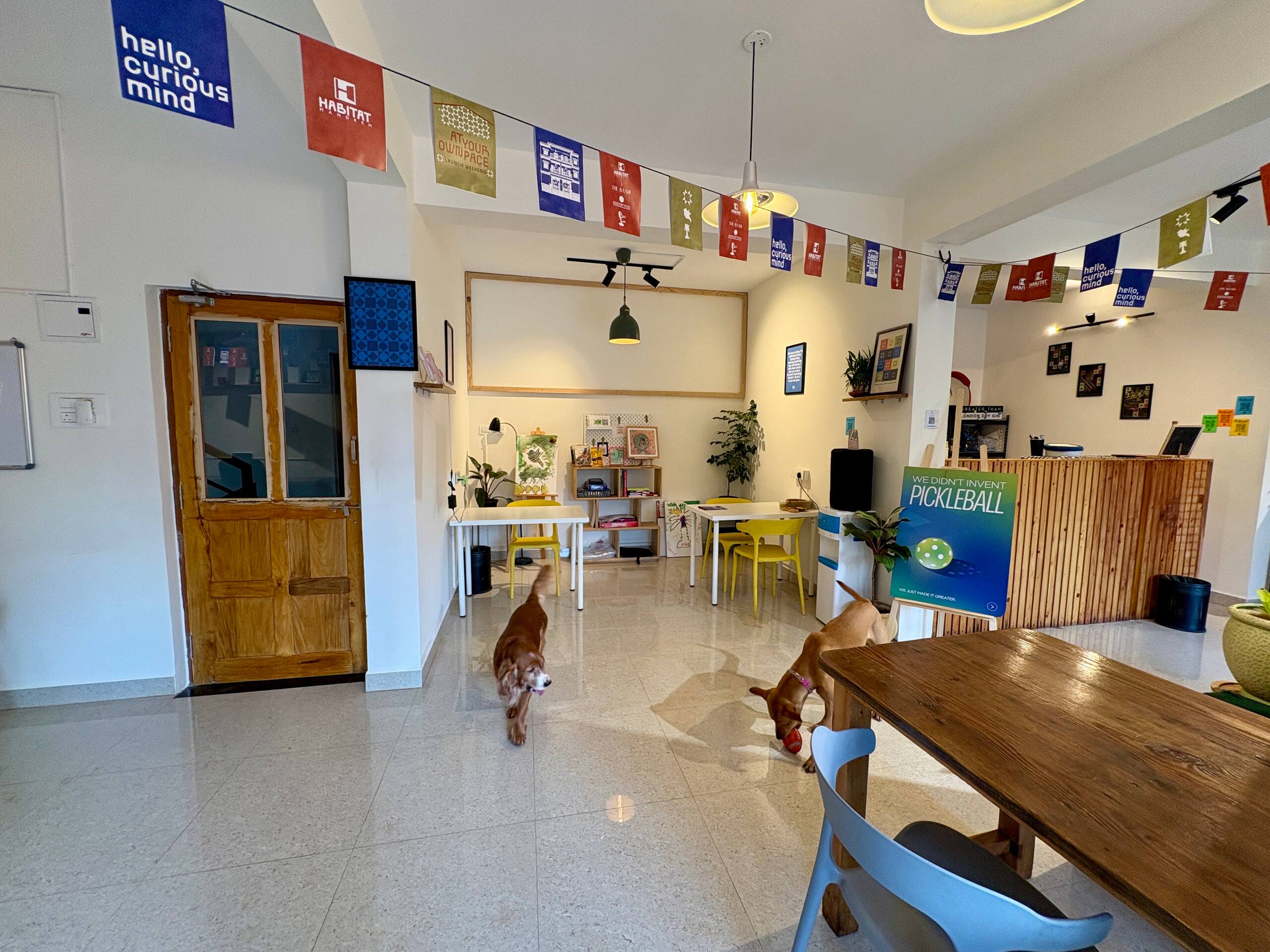 Bed in shared Dorm with Kitchen - The Habitat 6