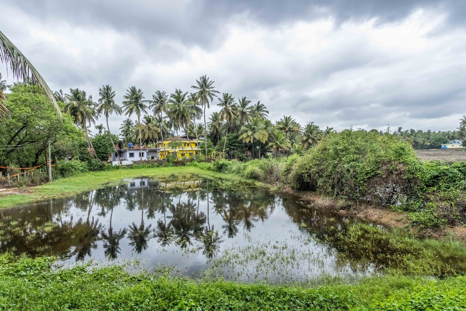 Mangrove Villa by the river 9