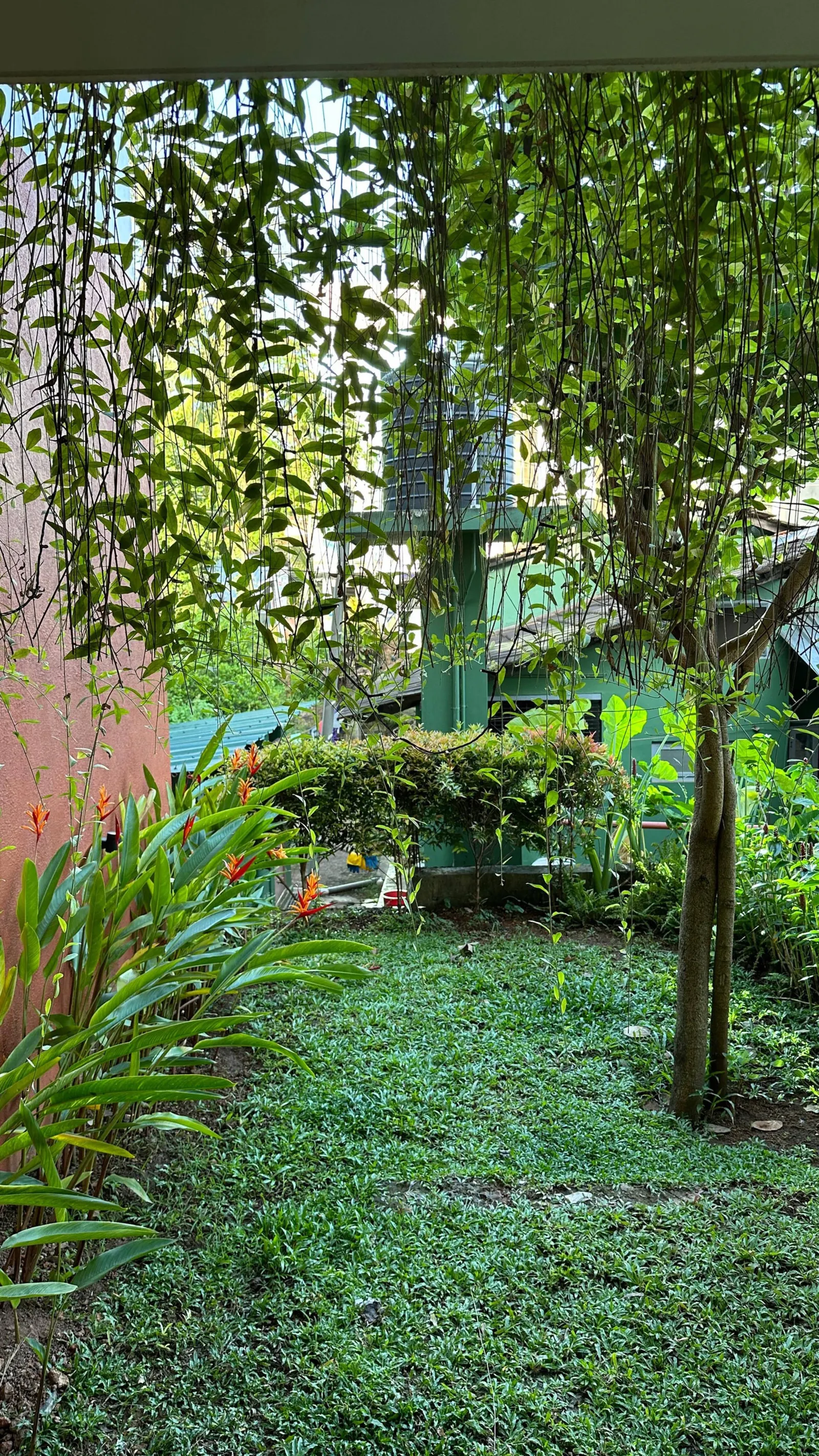 Nirvana Boutique Apartments city vibes (2) 5