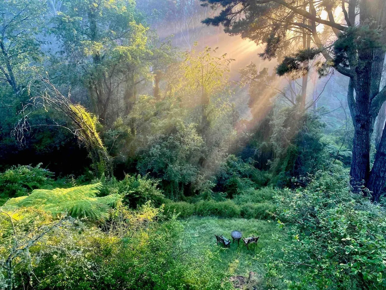 Elphin - your private Leura valley