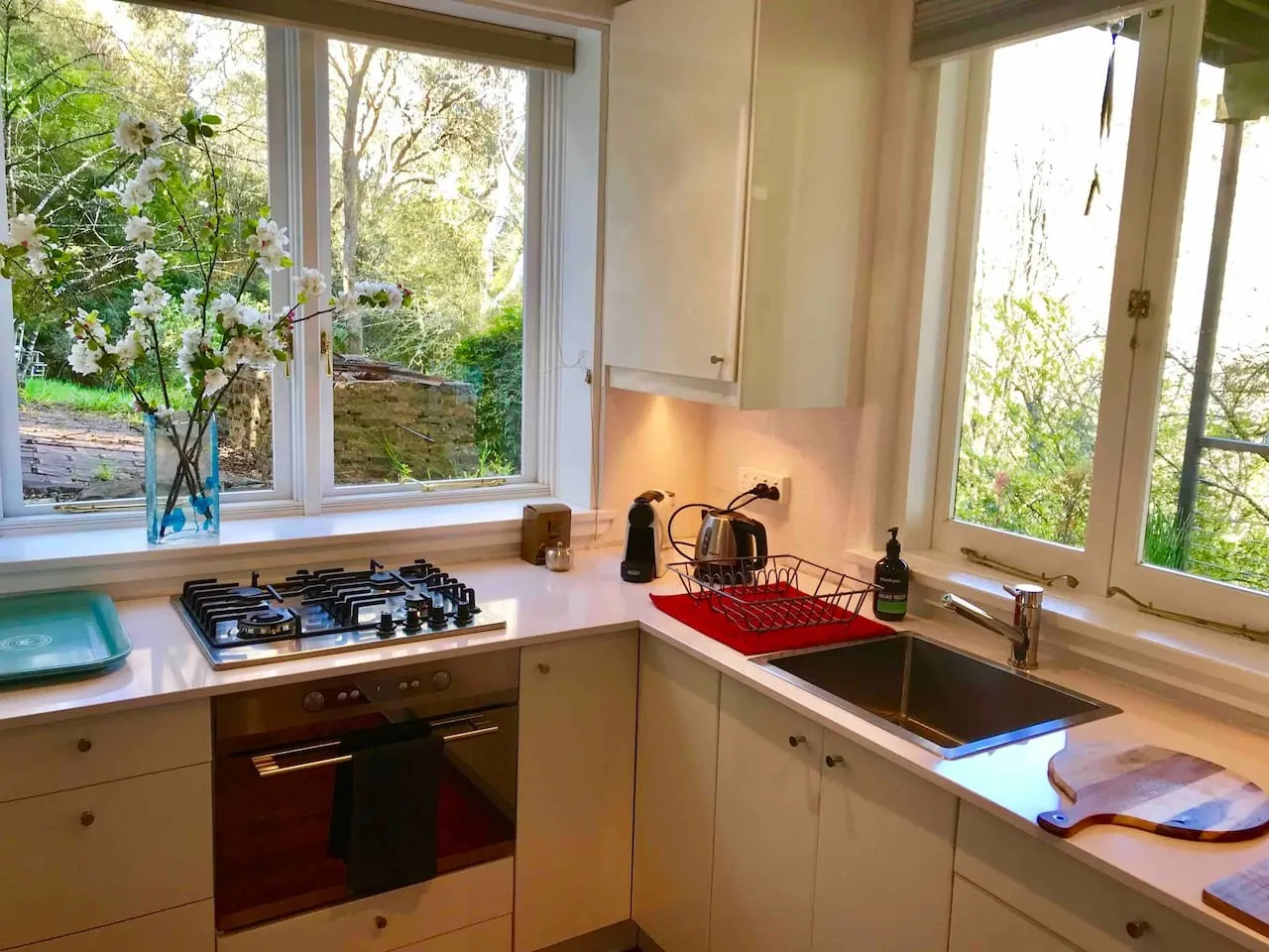 Elphin - your private Leura valley 14