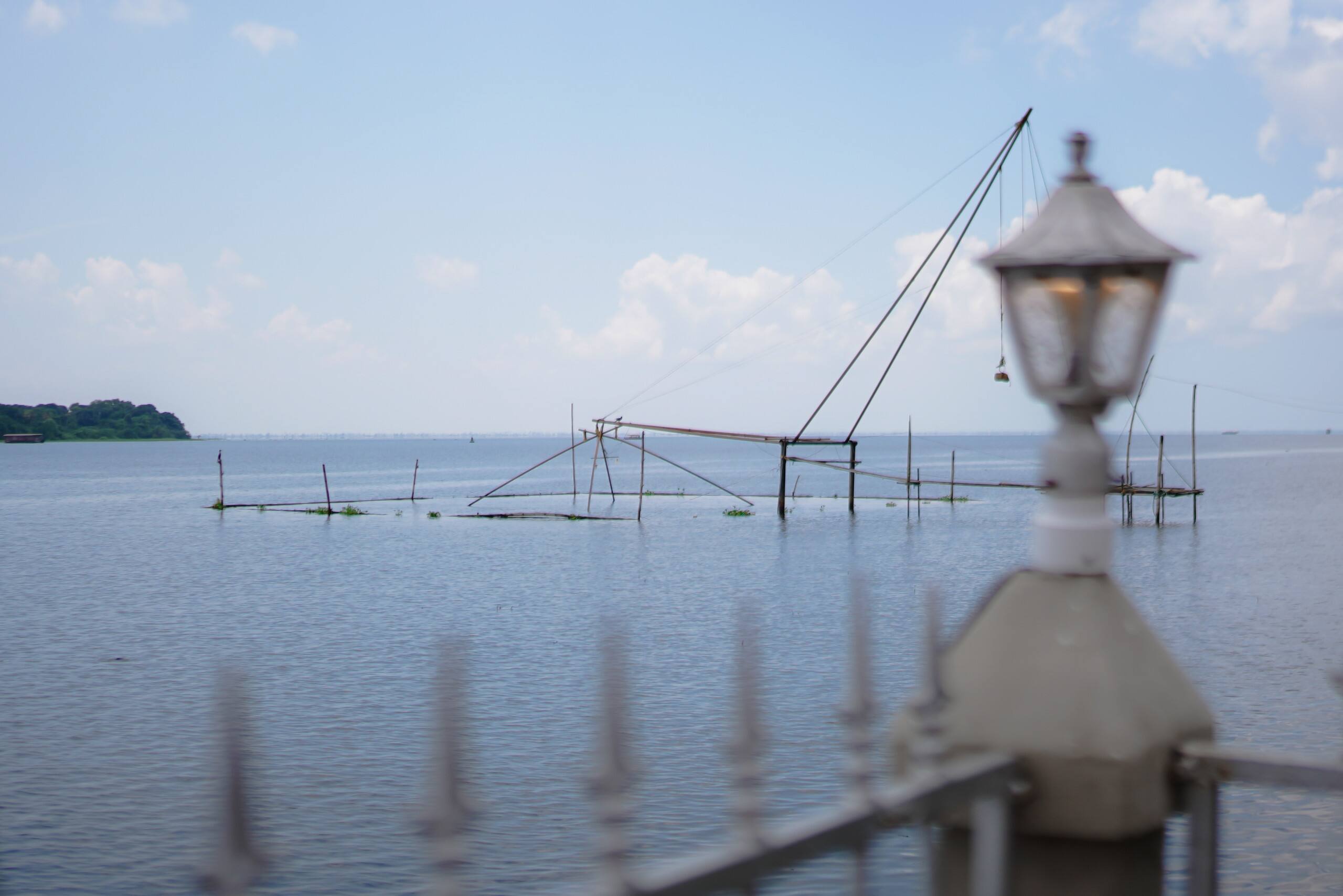 Tranquil Waters- A Pool villa by the backwaters 6