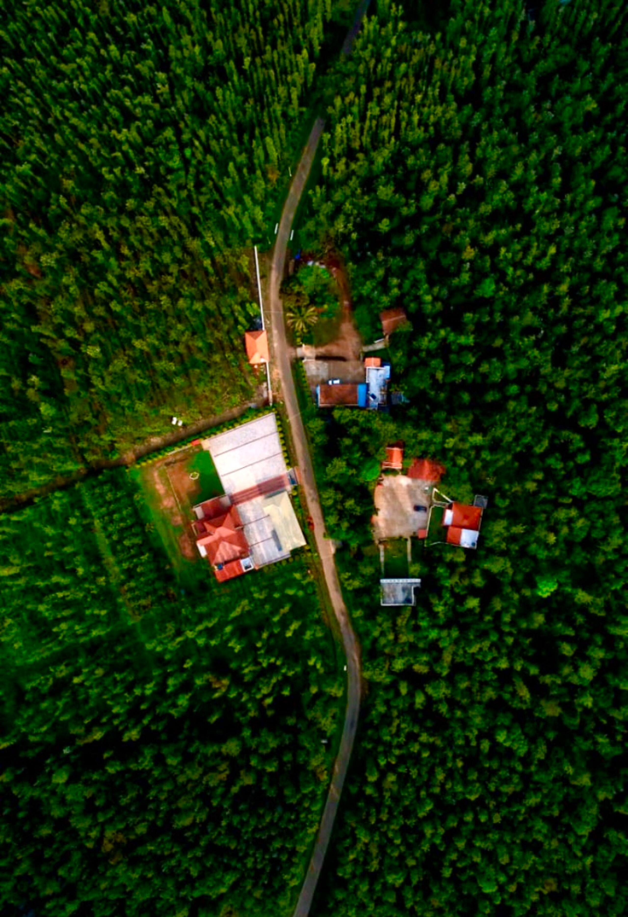 Livingston homestay - Single Cottage with kitchen 8