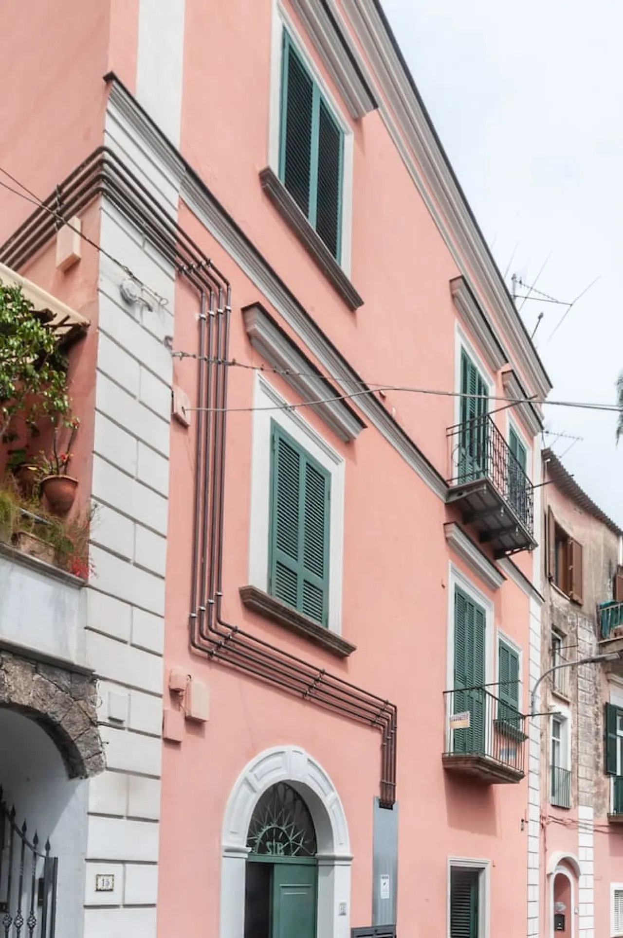 Fiore di Loto 16