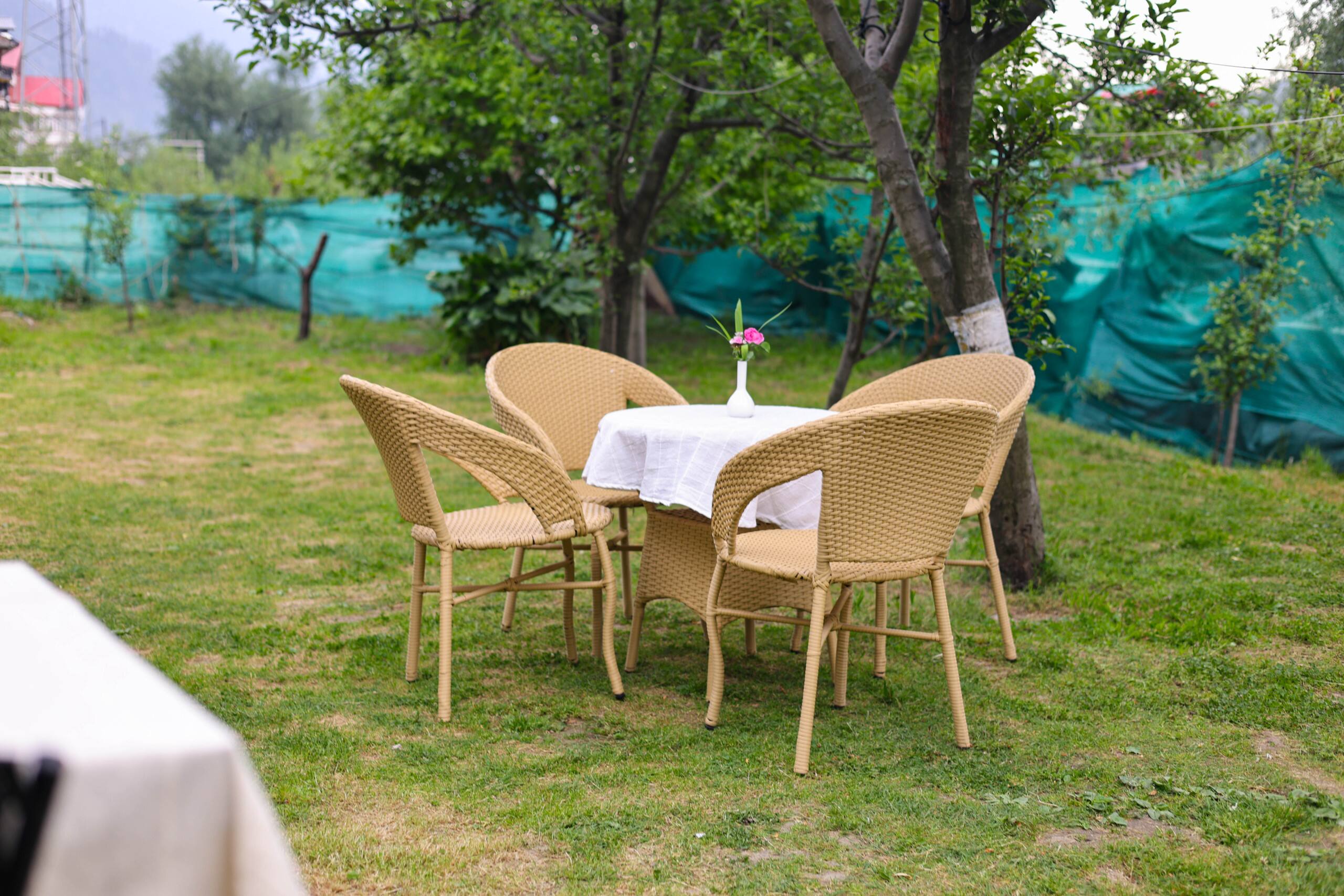 Wood valley cottage 36