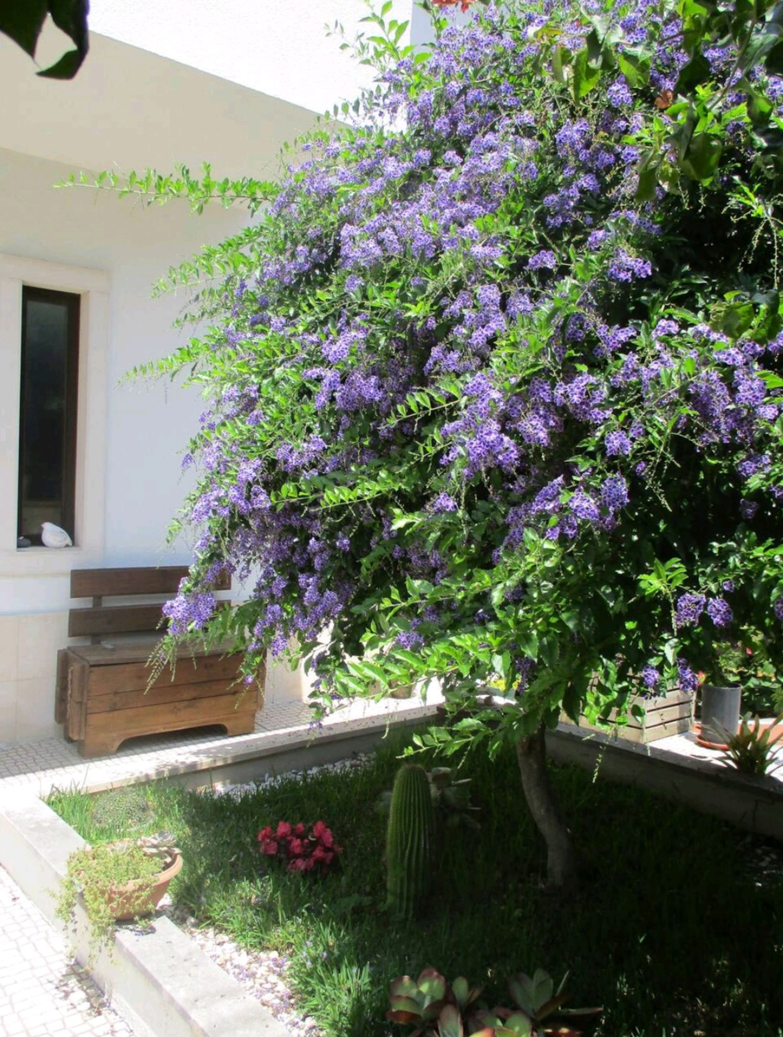 Garden Bedroom 16