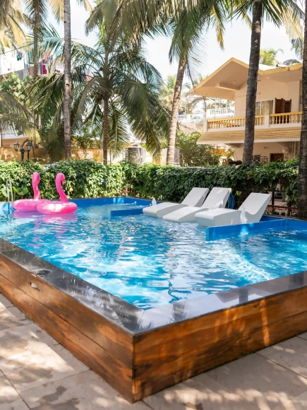Rose stay, Patnem. 11