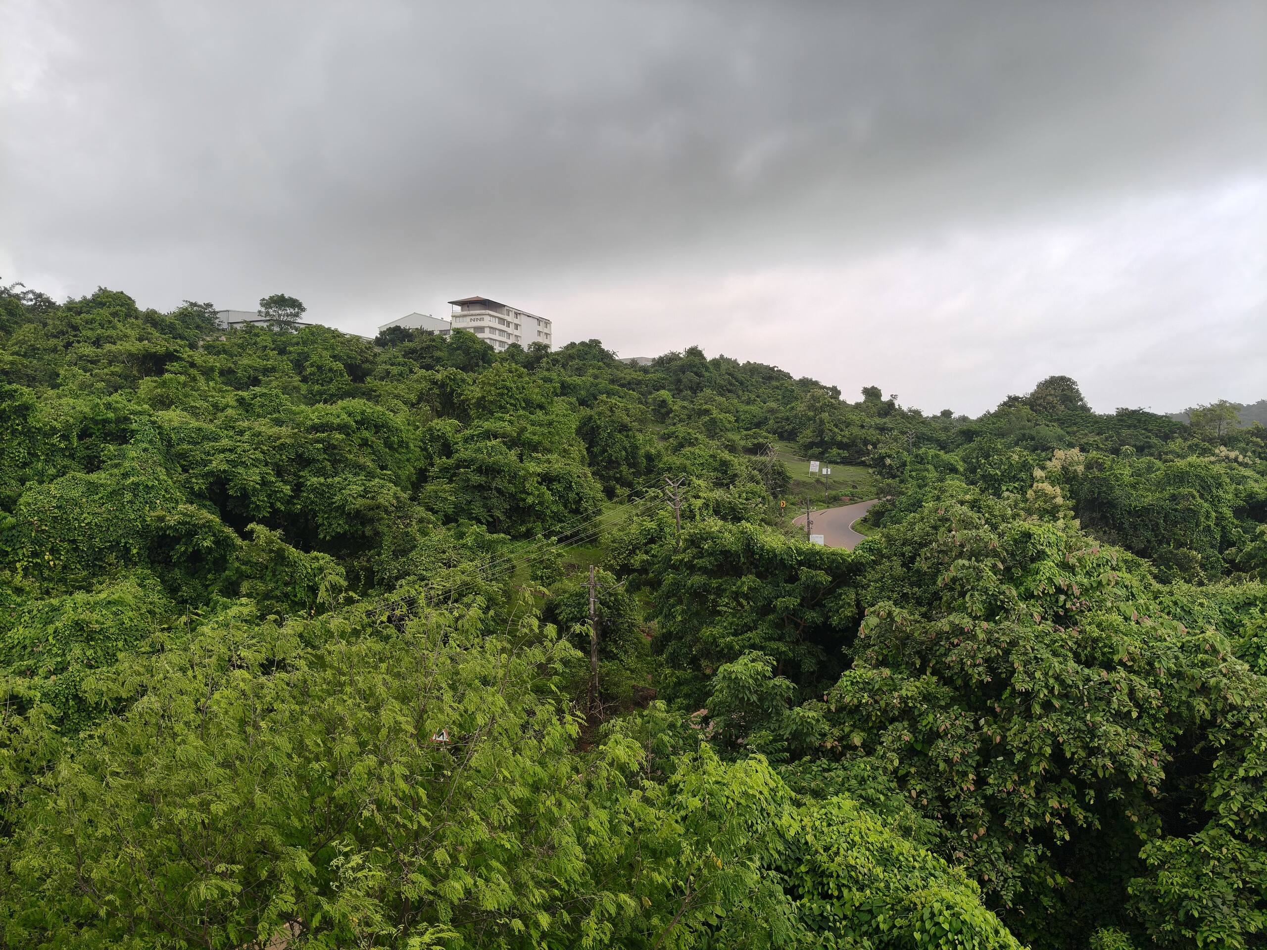 Serene 1BHK with Lush green views 21