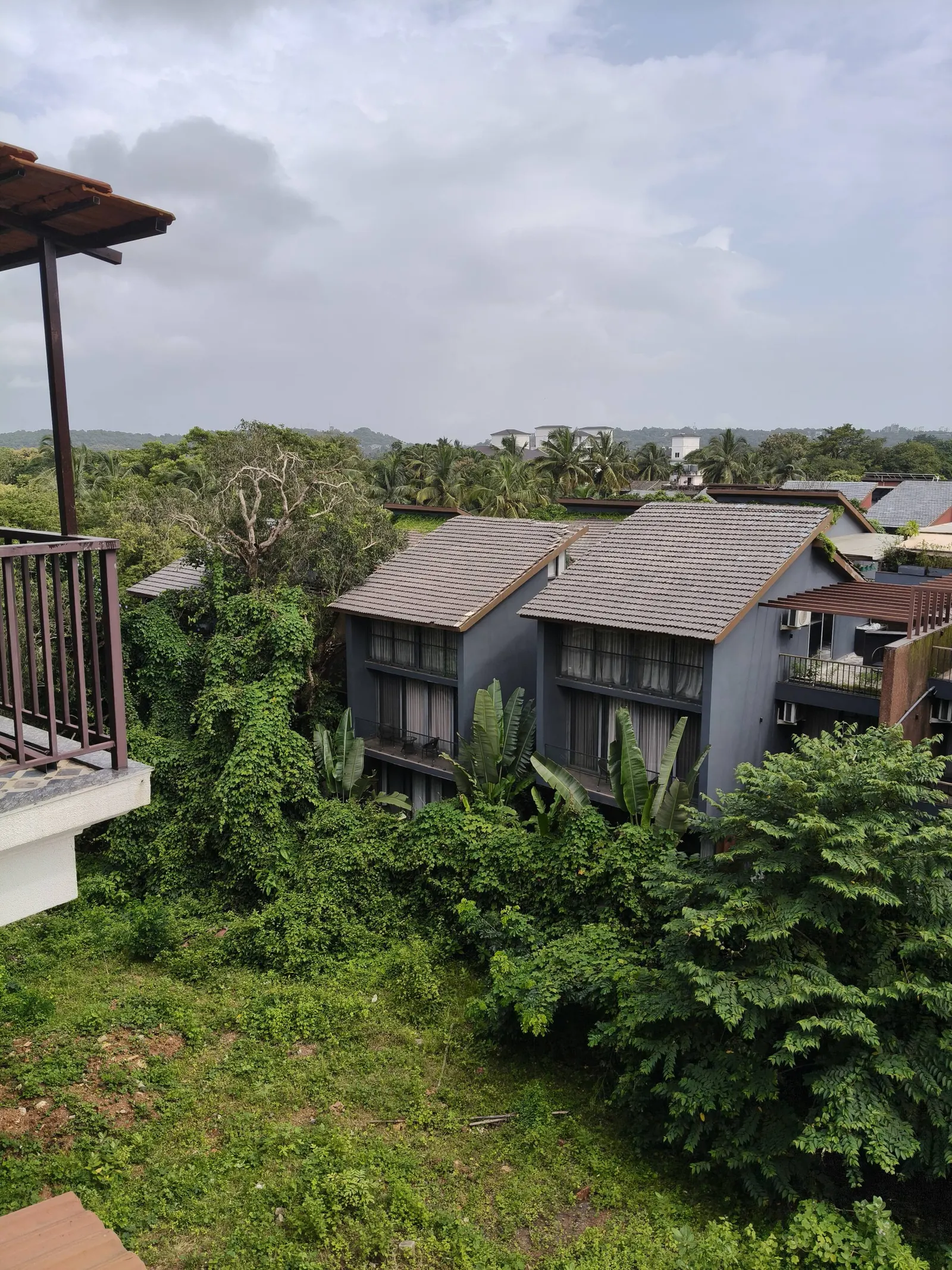 Serene 1BHK with Lush green views 15