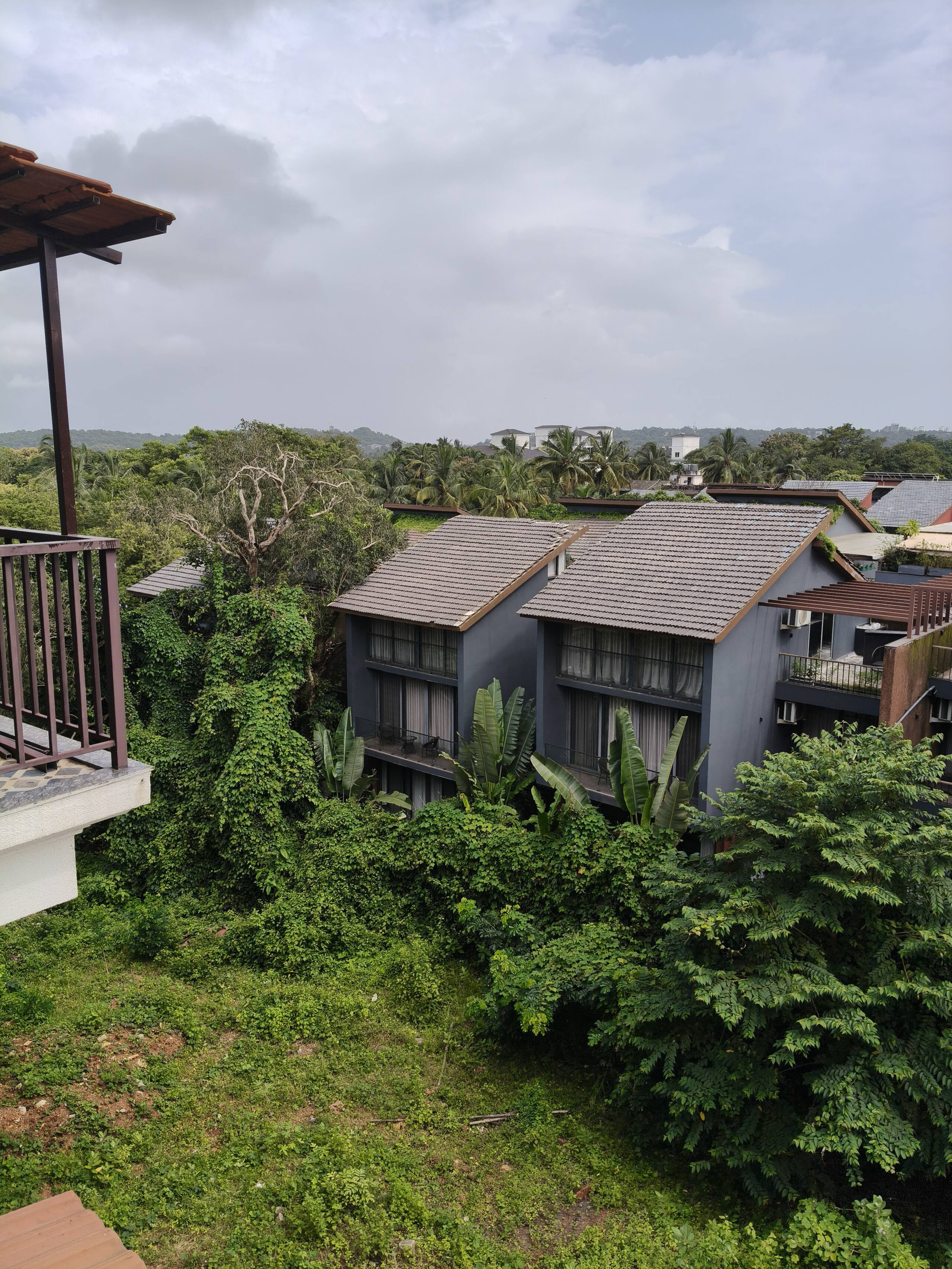 Serene 1BHK with Lush green views 15