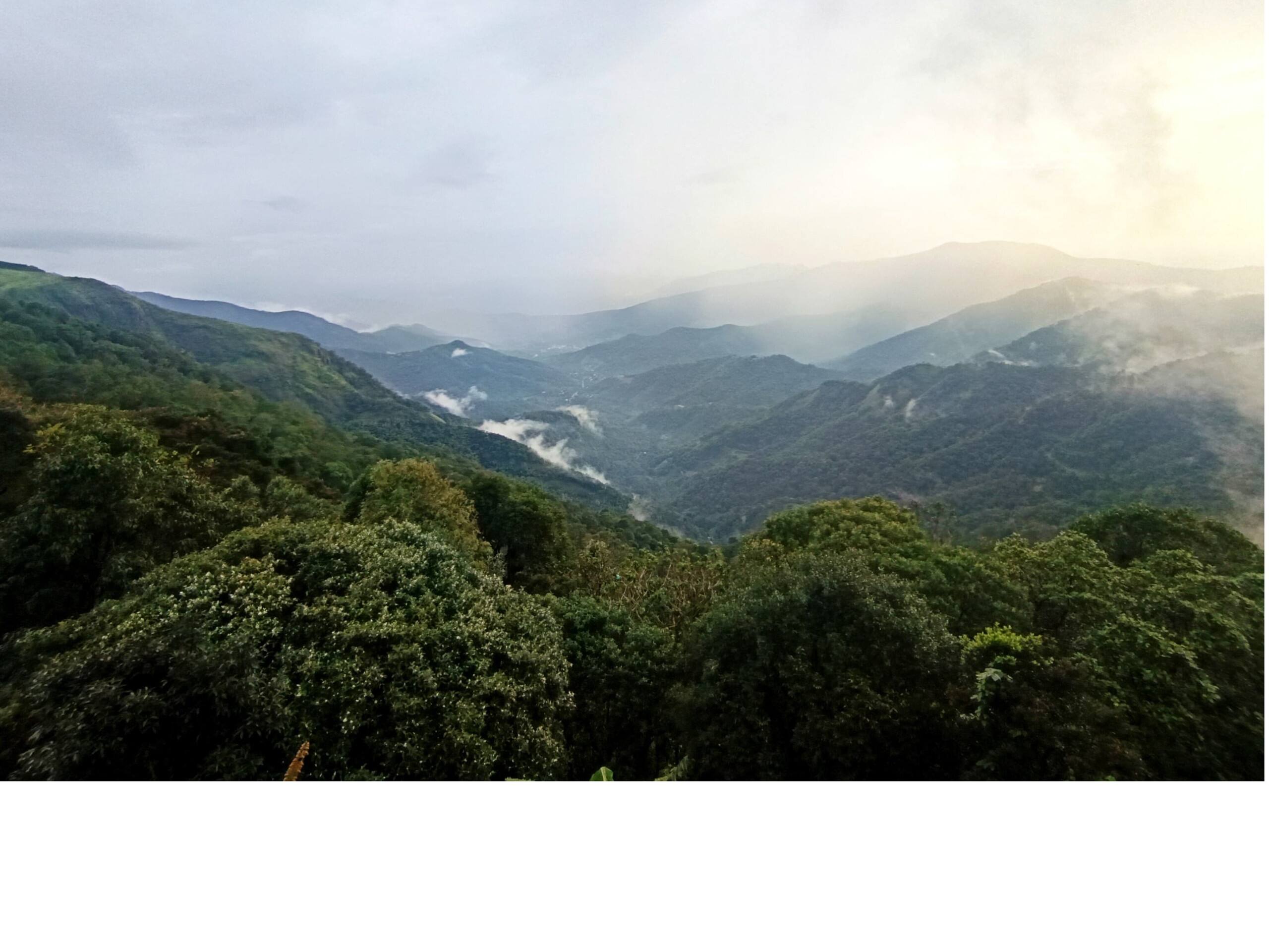 Mountain Bells Villa Vagamon (Twin cottages) 9