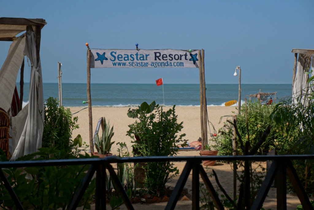 Sea Star - Leah's Palace Inn 15