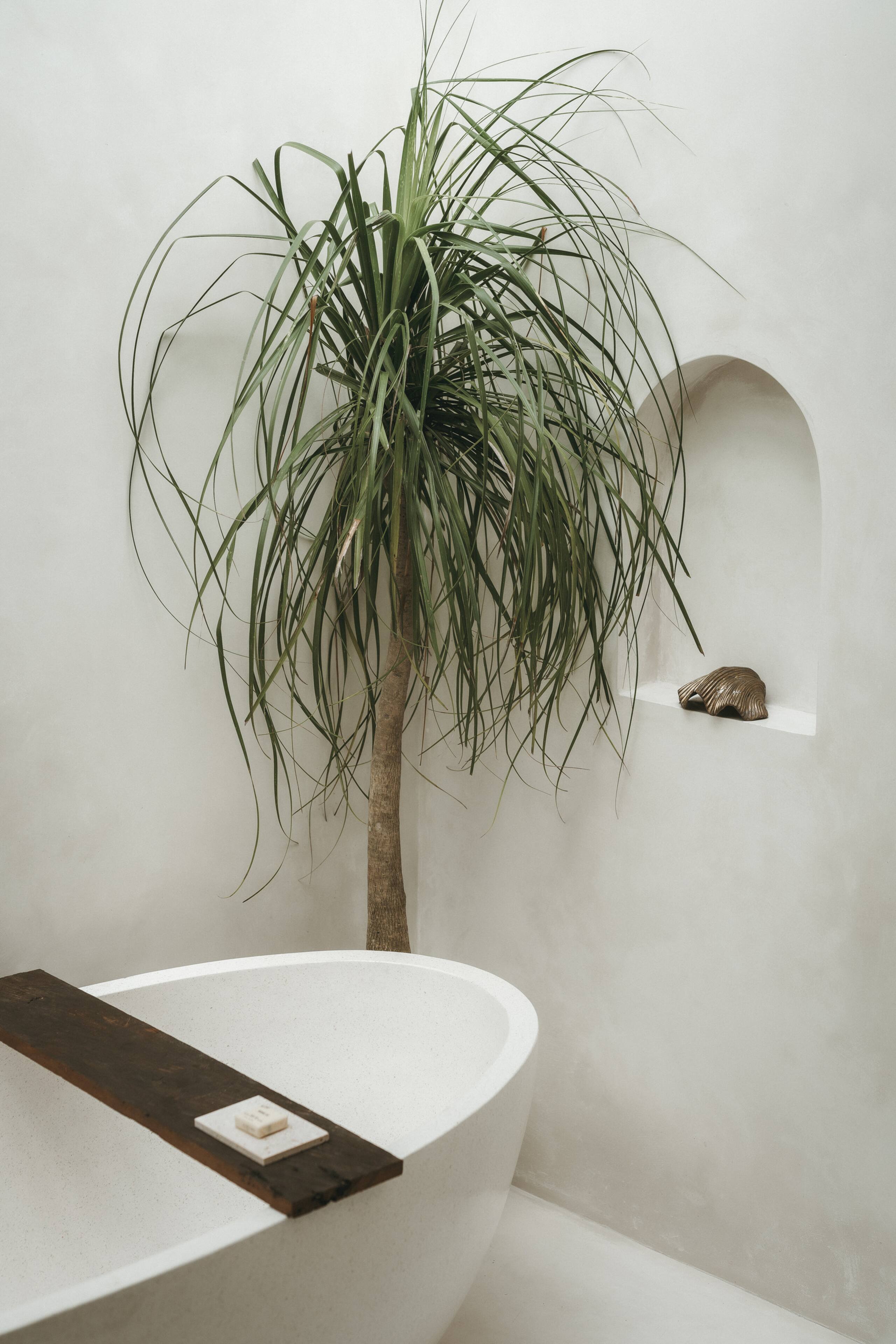 Casa Sula : Renovated Rustic Mediterranean Villa 31