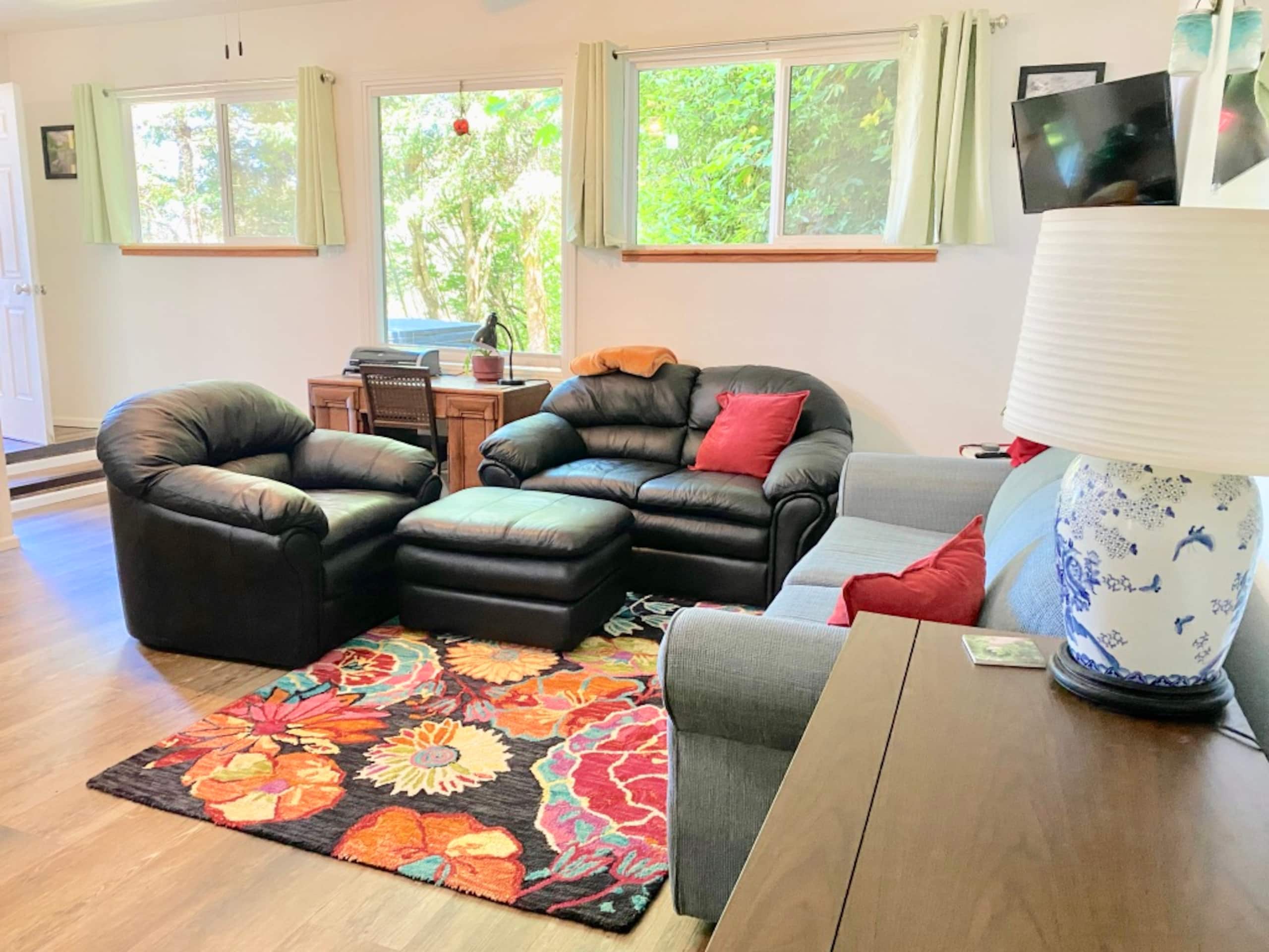 Hummingbird Vista-Scenic Views/Hot Tub/Newly Paved 12