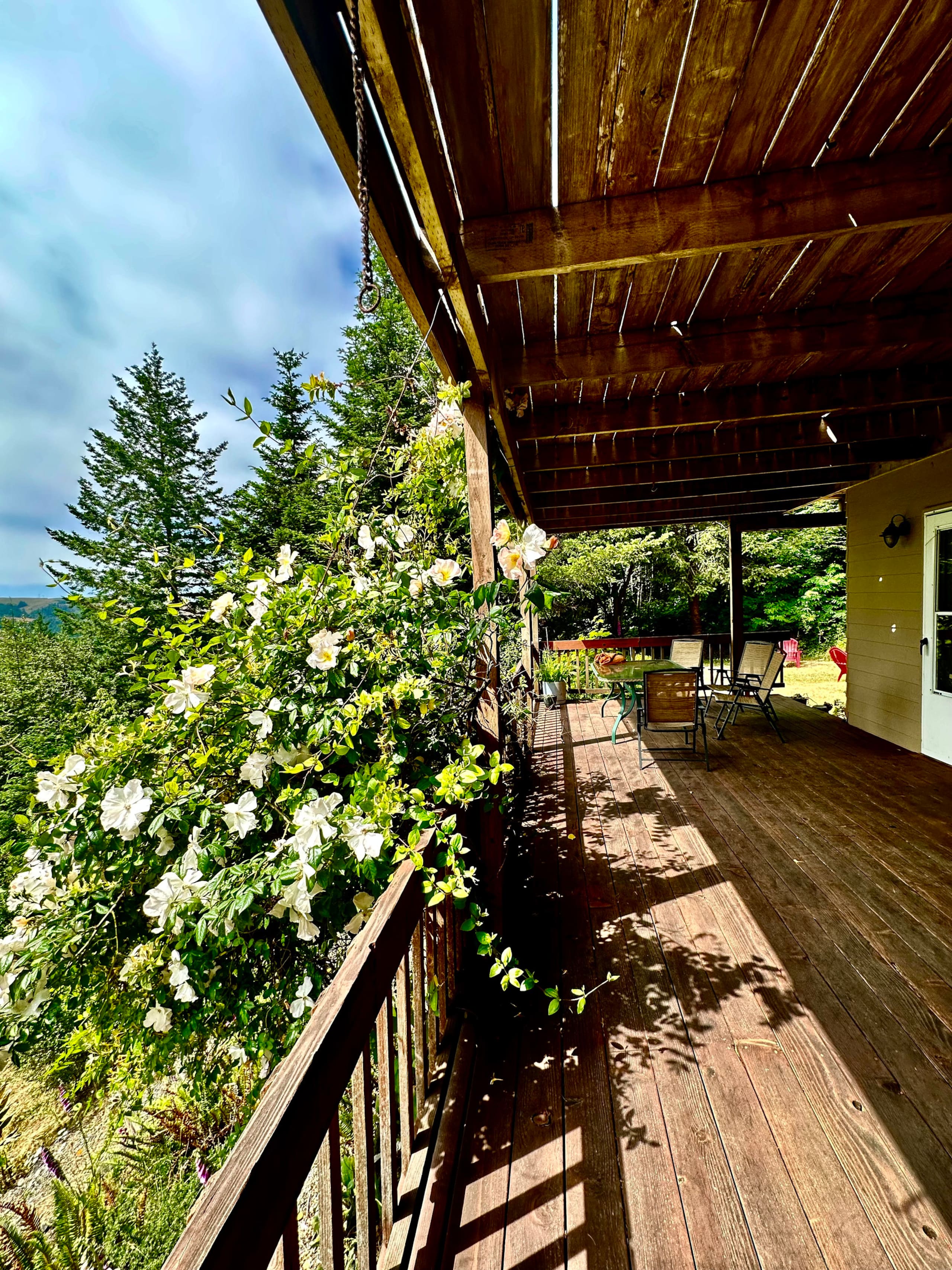 Hummingbird Vista-Scenic Views/Hot Tub/Newly Paved 37