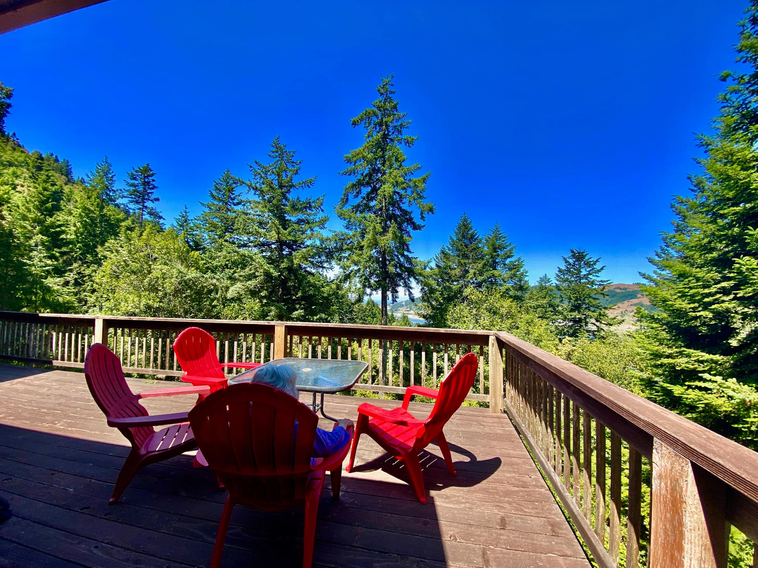 Hummingbird Vista-Scenic Views/Hot Tub/Newly Paved 36