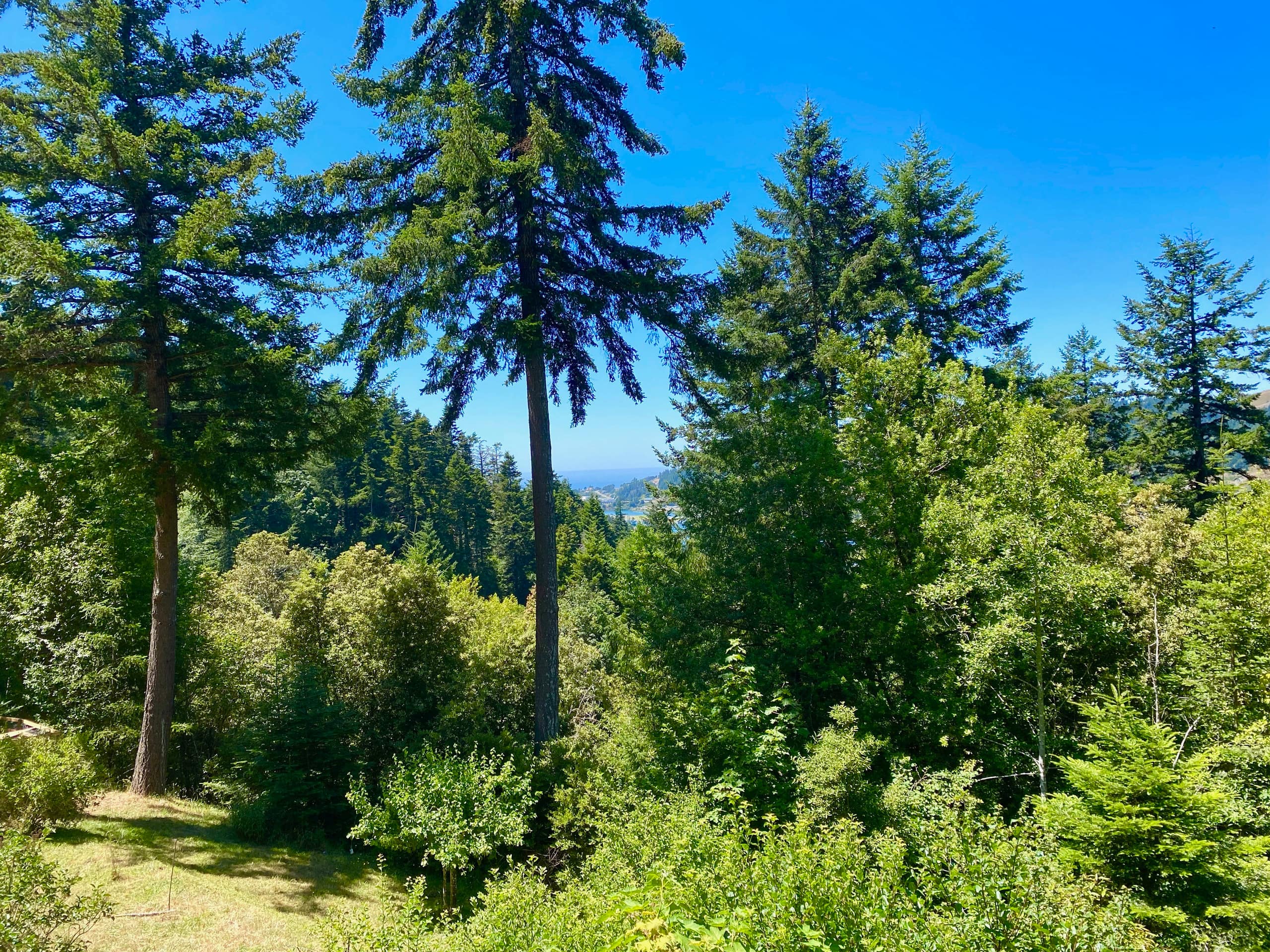 Hummingbird Vista-Scenic Views/Hot Tub/Newly Paved 39