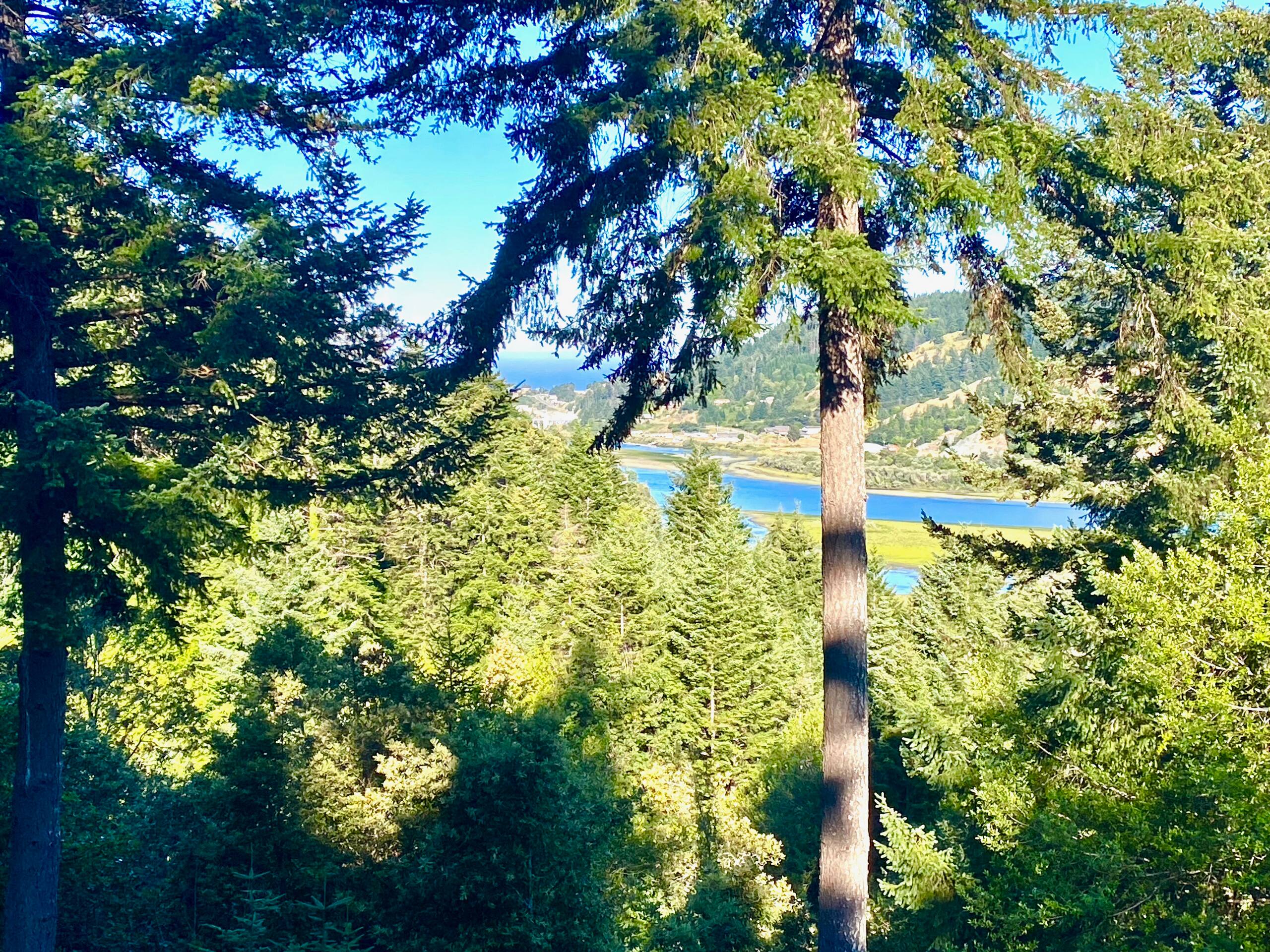 Hummingbird Vista-Scenic Views/Hot Tub/Newly Paved — photo 2