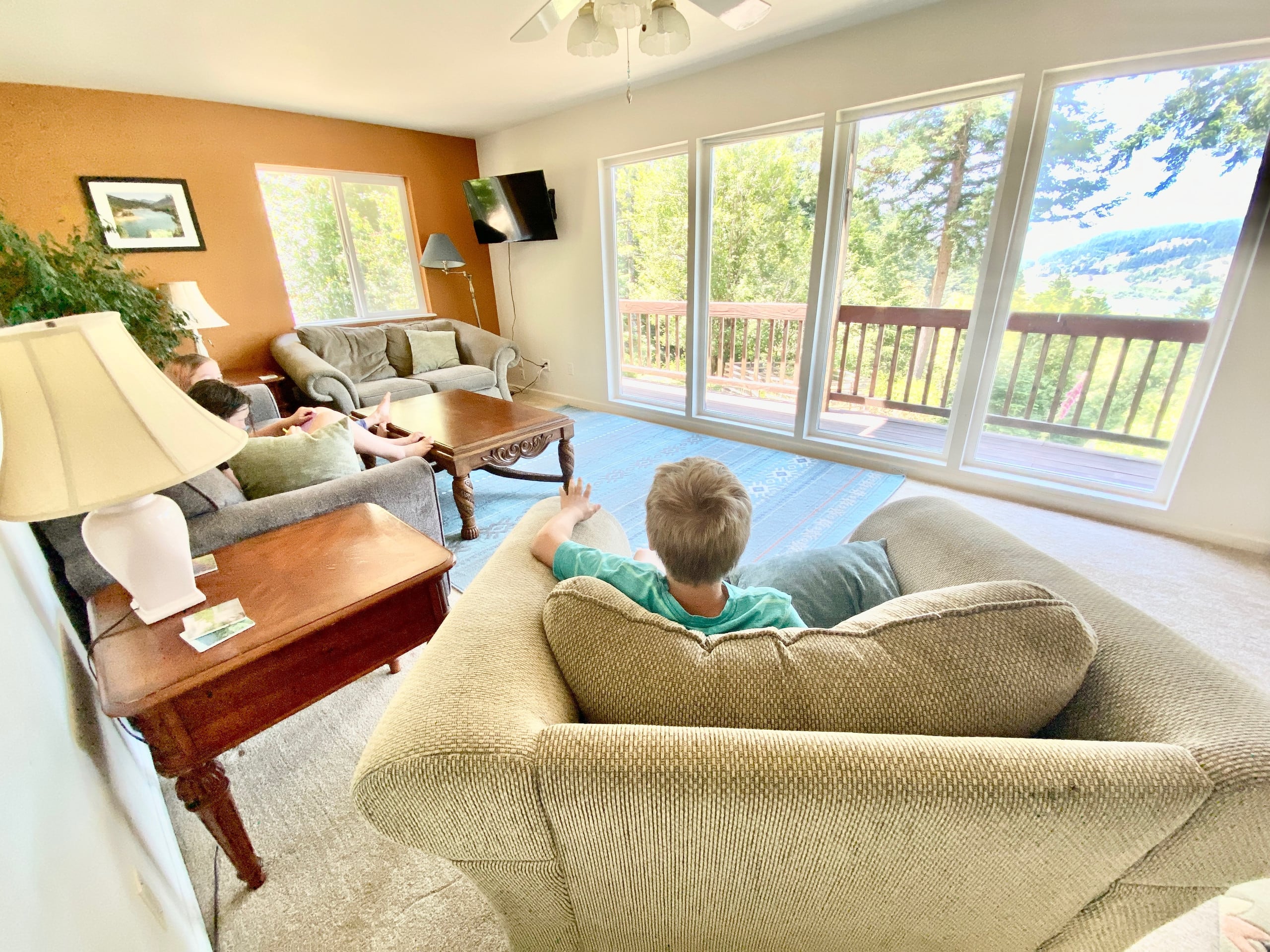 Hummingbird Vista-Scenic Views/Hot Tub/Newly Paved 10