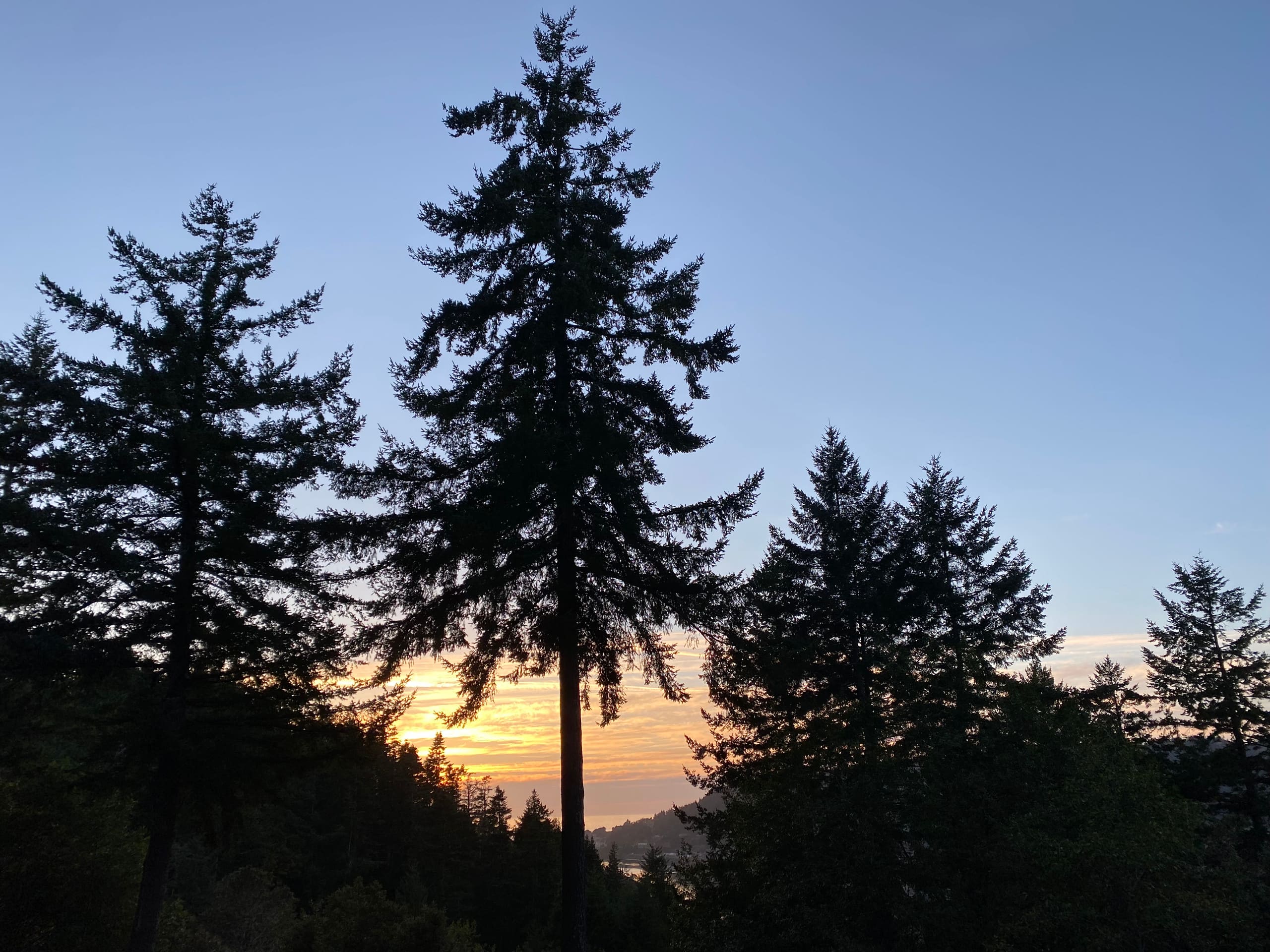 Hummingbird Vista-Scenic Views/Hot Tub/Newly Paved 7