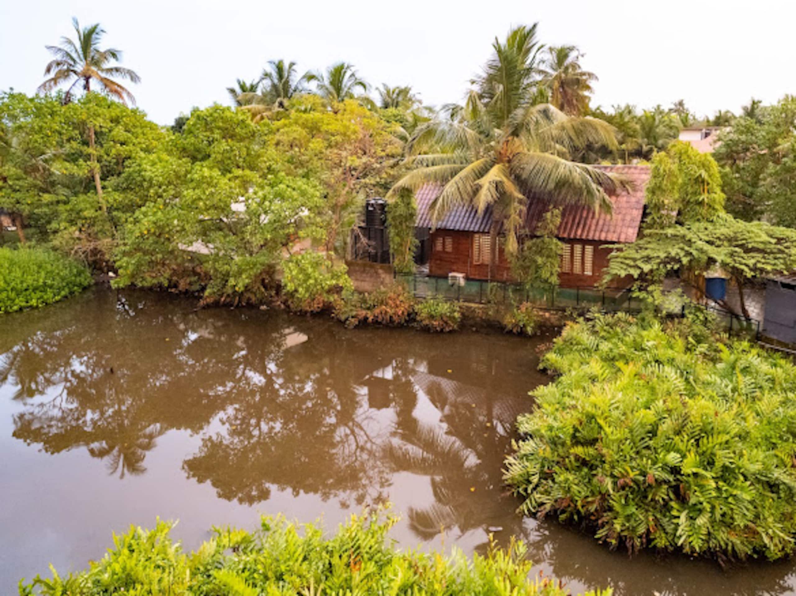 Cottage with backwater view in Kadamakkudy-Cochin 5