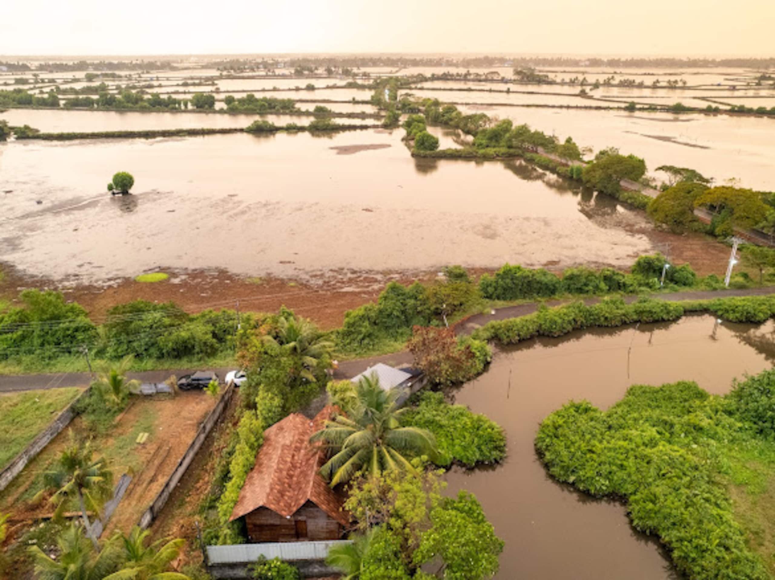 Cottage with backwater view in Kadamakkudy-Cochin 17