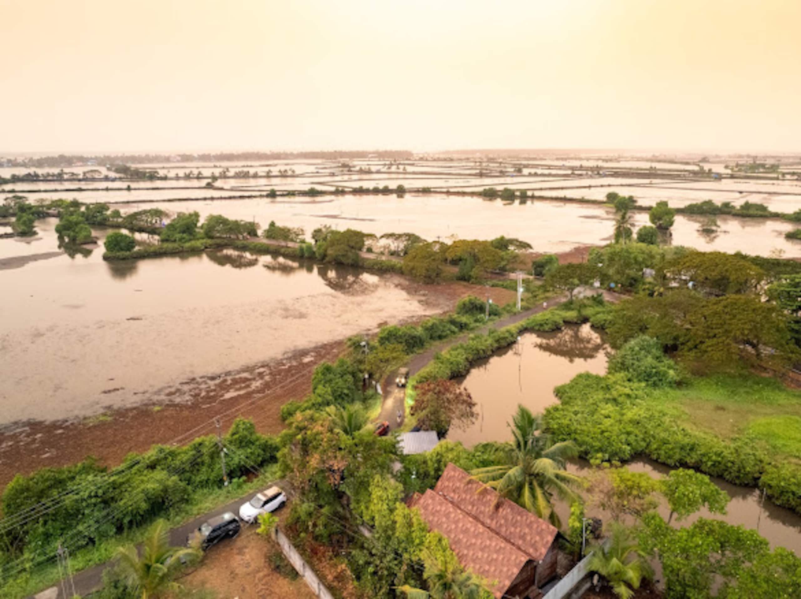 Cottage with backwater view in Kadamakkudy-Cochin 13
