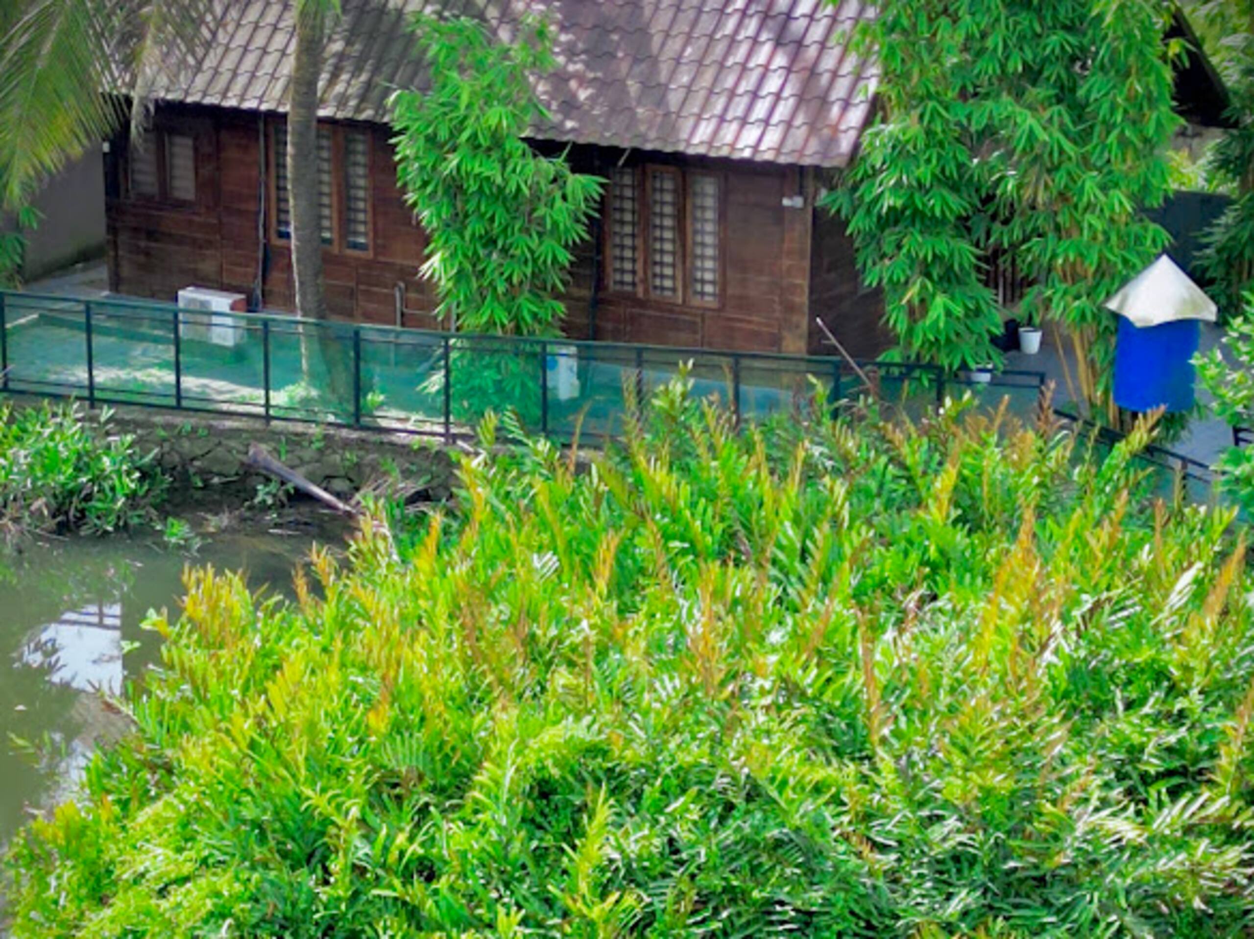 Cottage with backwater view in Kadamakkudy-Cochin 34