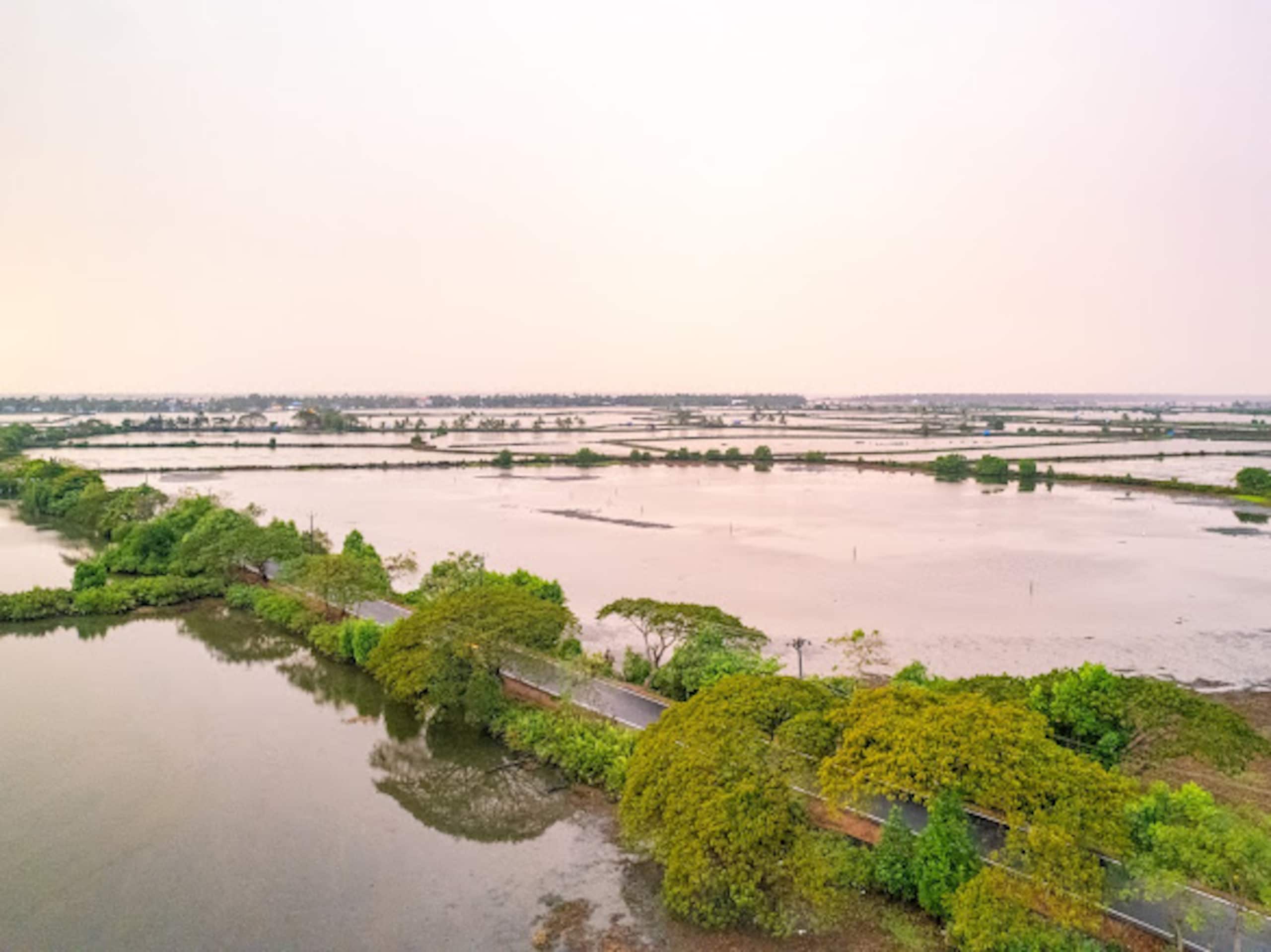 Cottage with backwater view in Kadamakkudy-Cochin 15