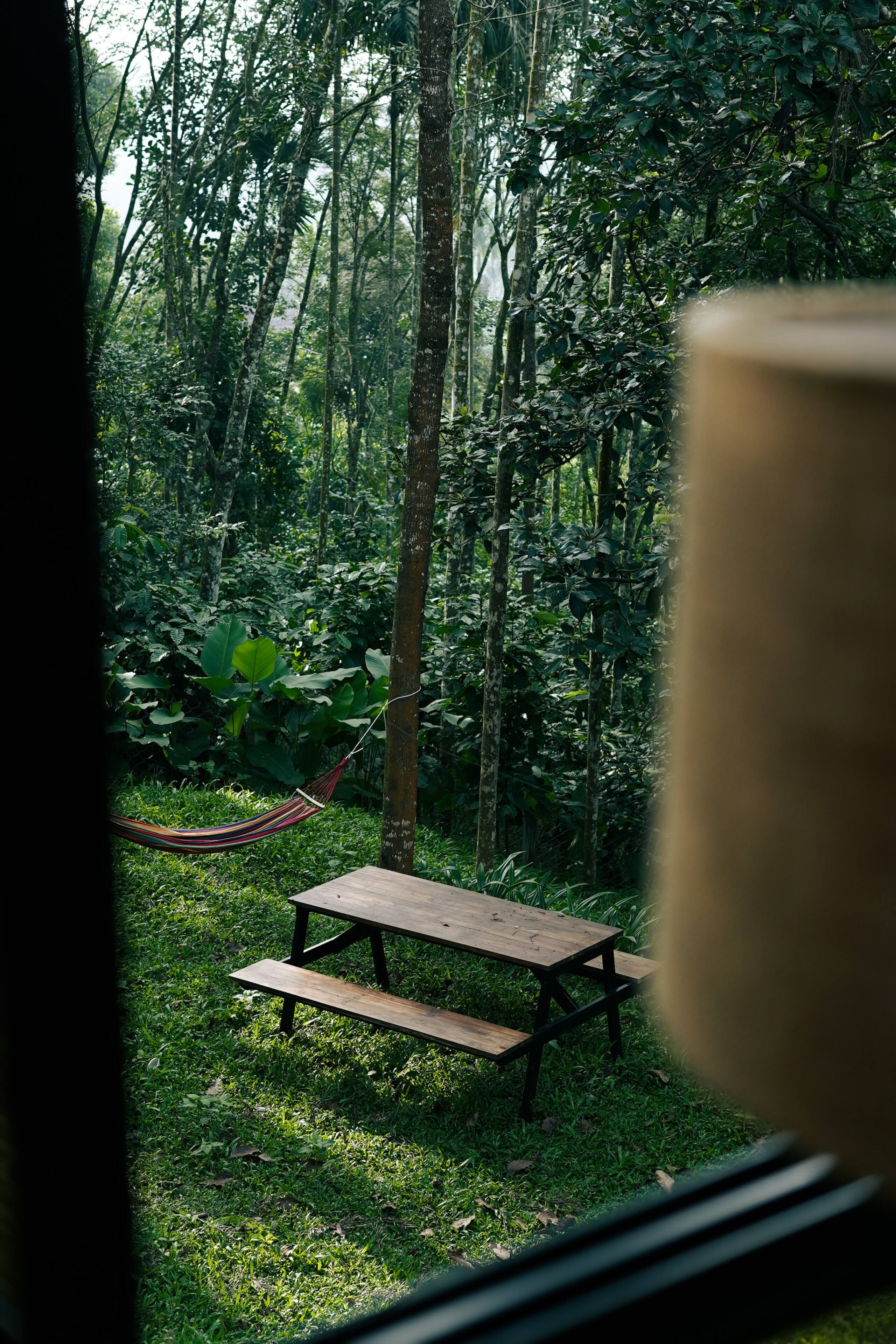 LushEarth Glass house homestay in Wayanad 21