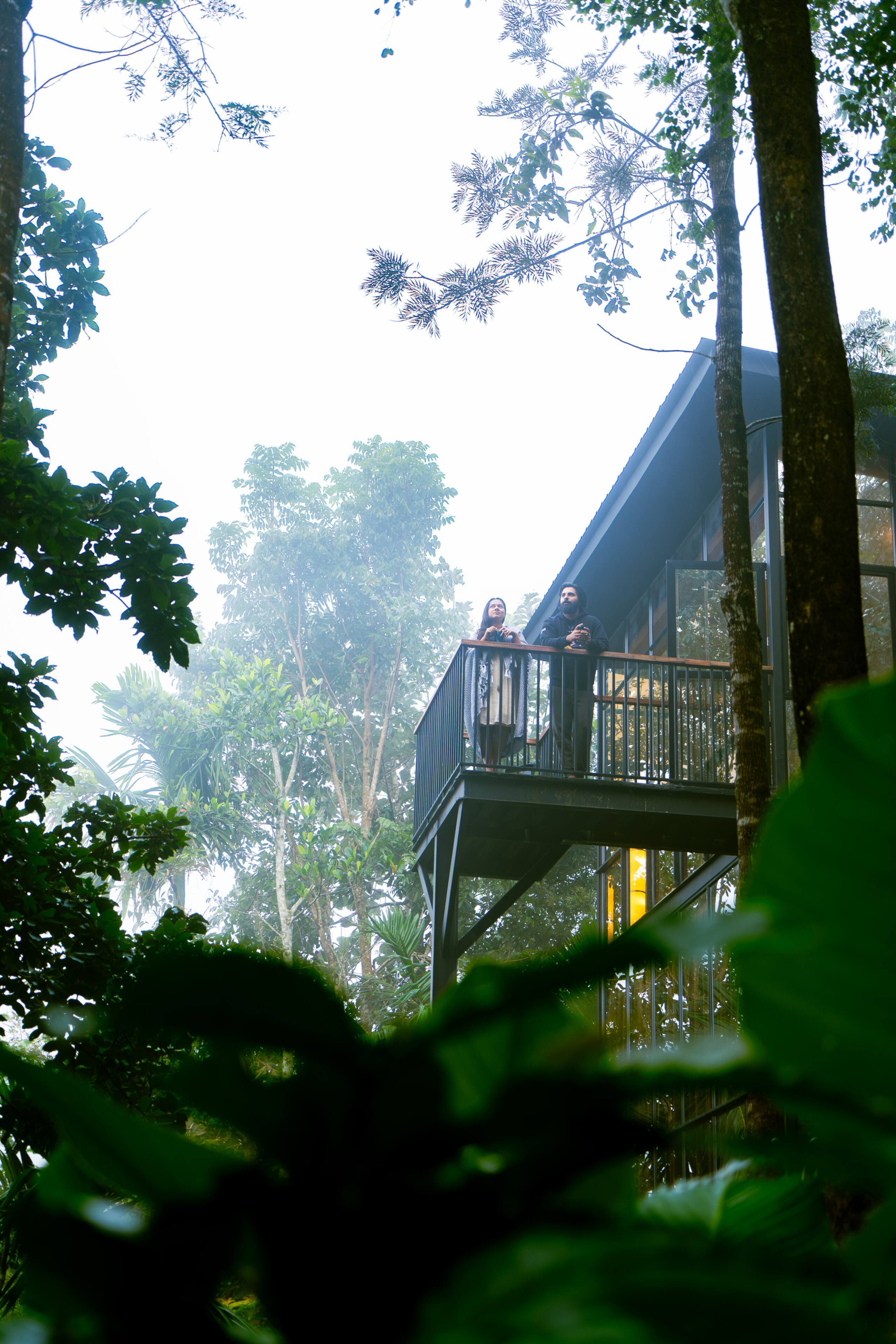 LushEarth Glass house homestay in Wayanad 3