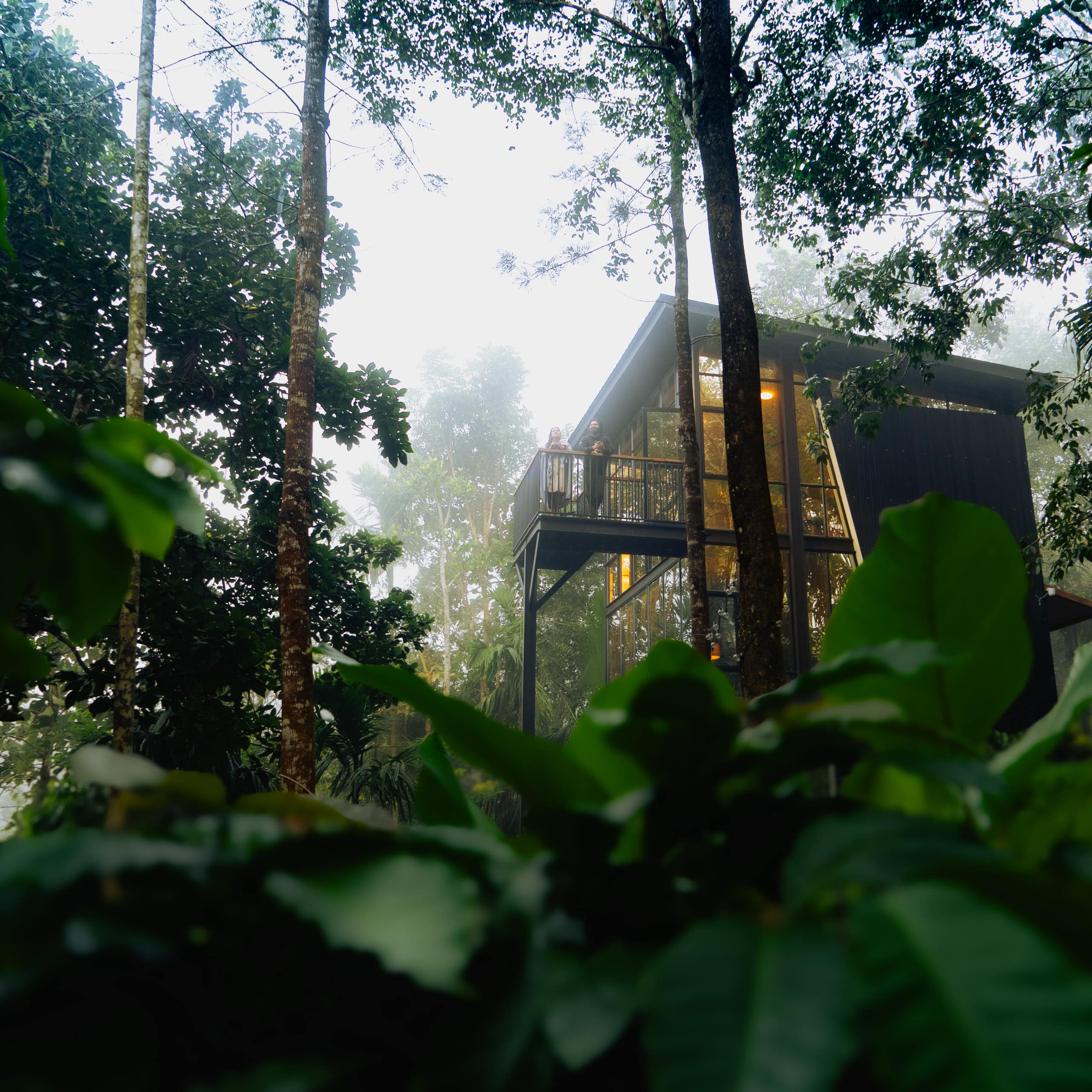 LushEarth Glass house homestay in Wayanad 1