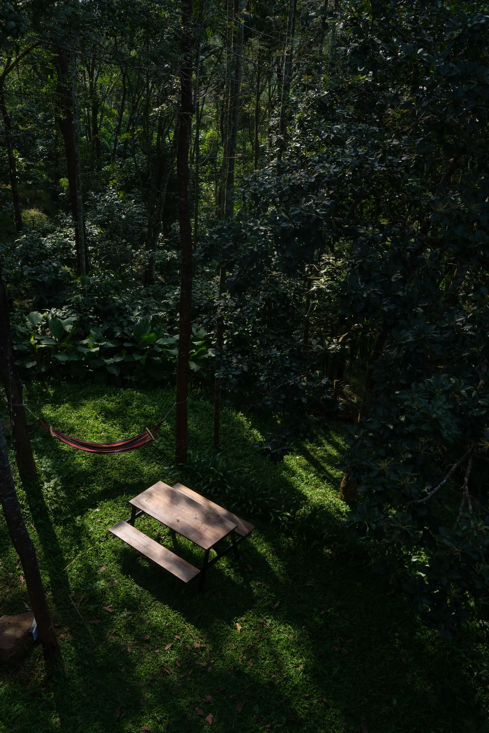 LushEarth Glass house homestay in Wayanad 19