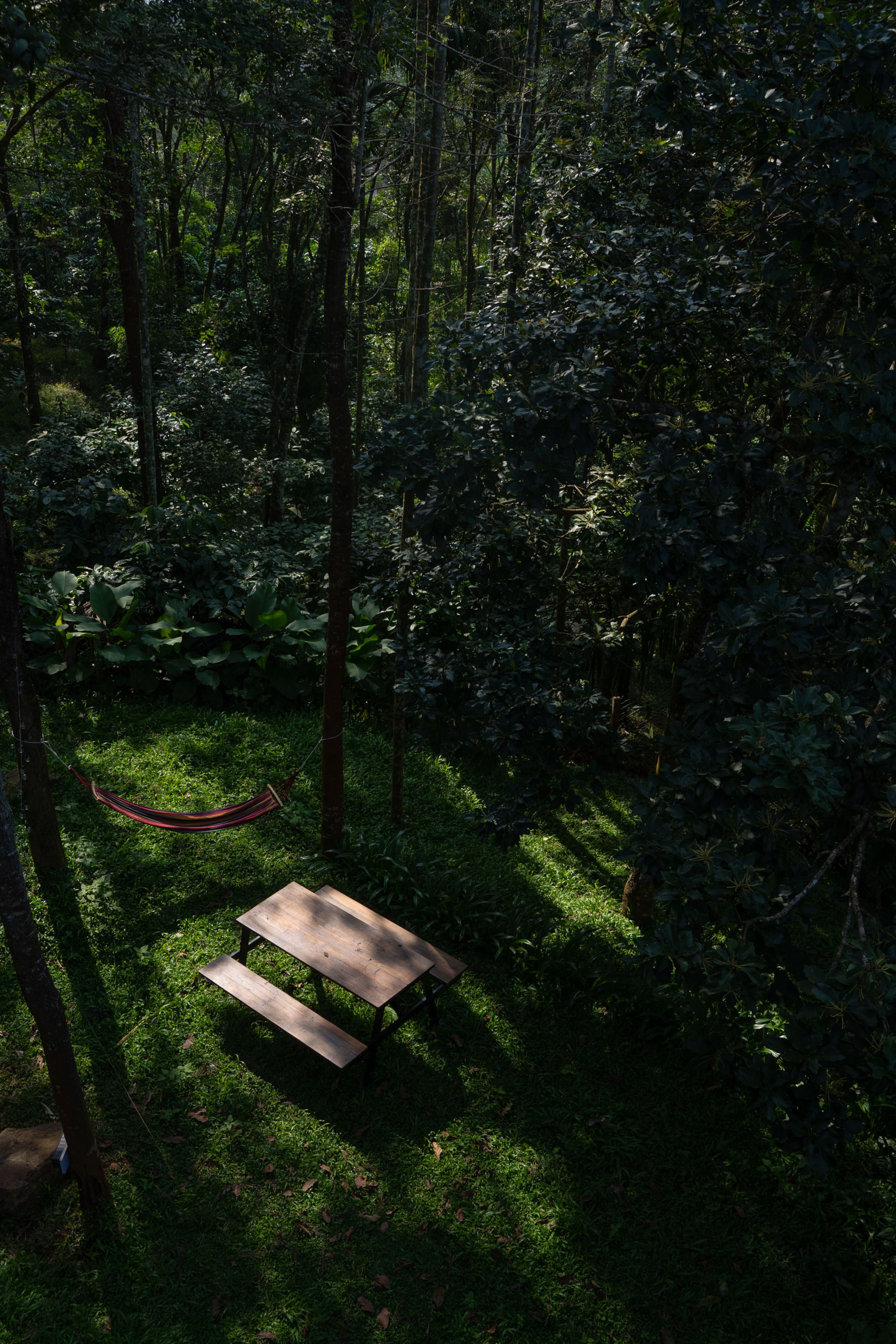 LushEarth Glass house homestay in Wayanad 19