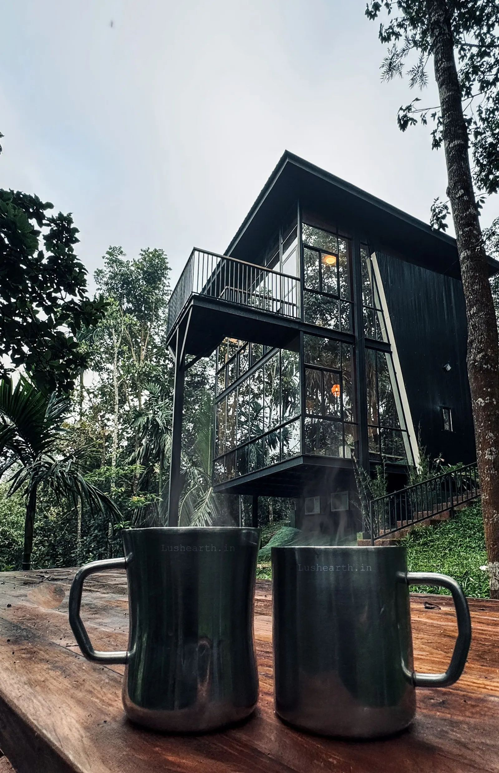 LushEarth Glass house homestay in Wayanad 20