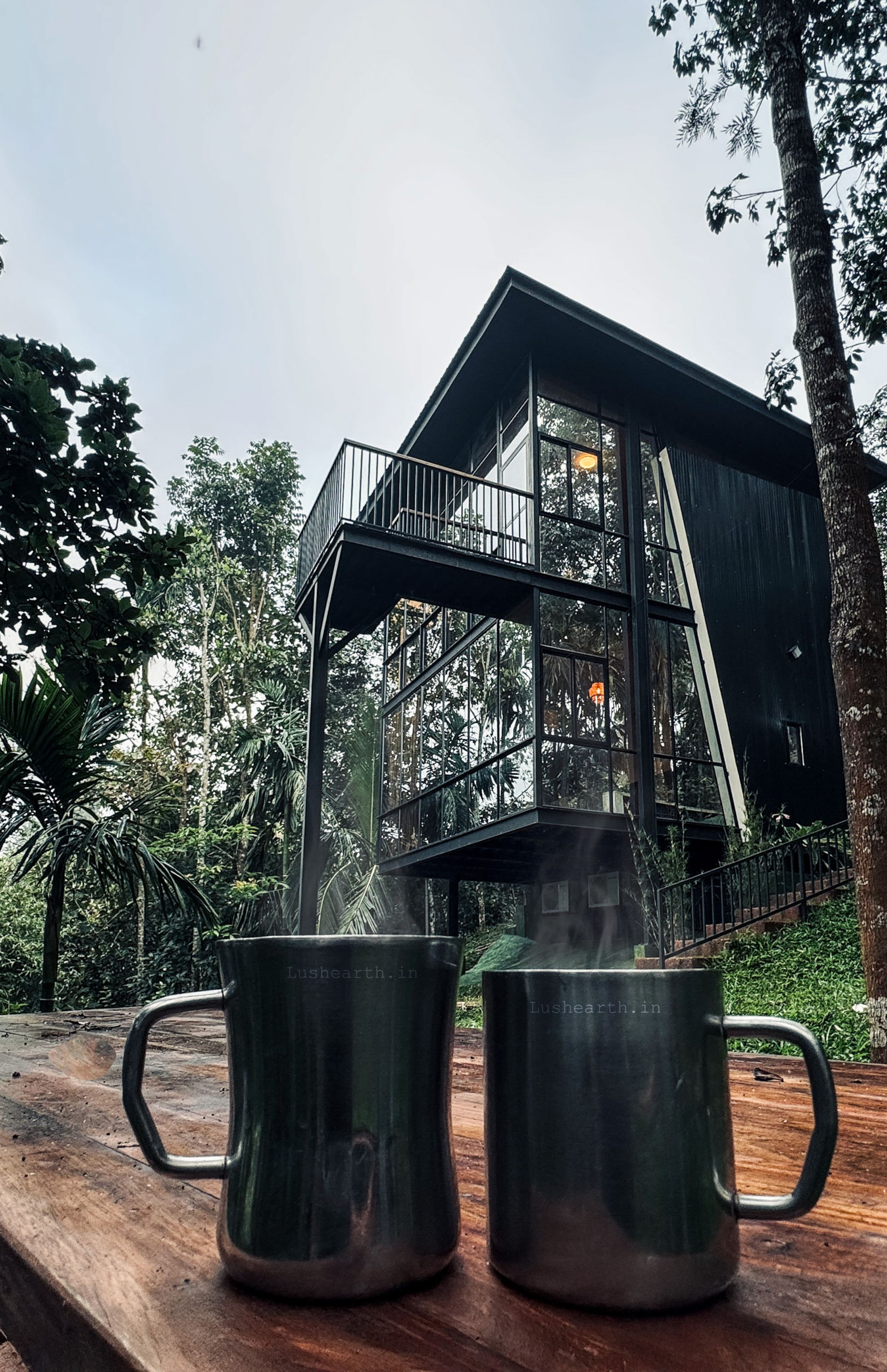 LushEarth Glass house homestay in Wayanad 20