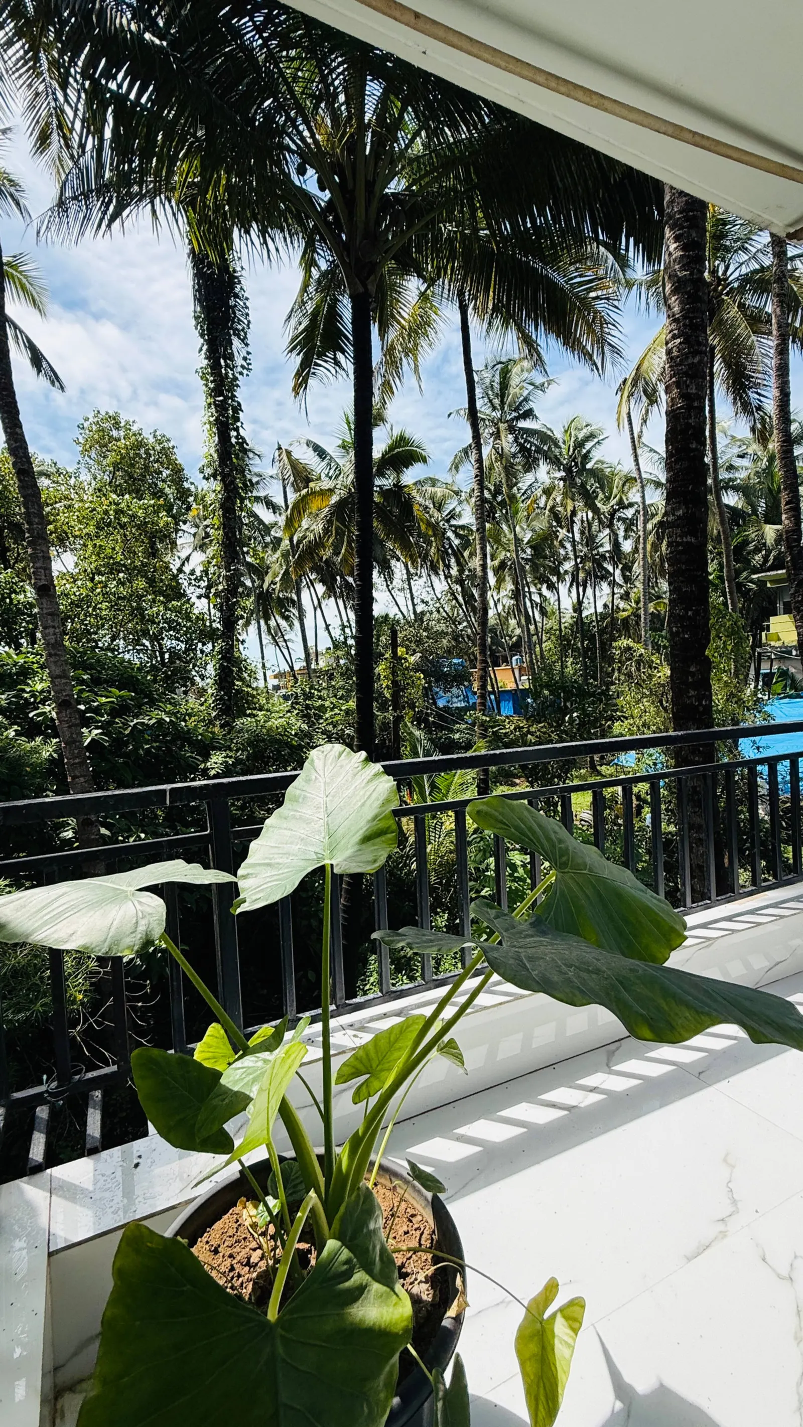 Ocean Stay Serene Beach Escape 2Min Walk to Beach 25