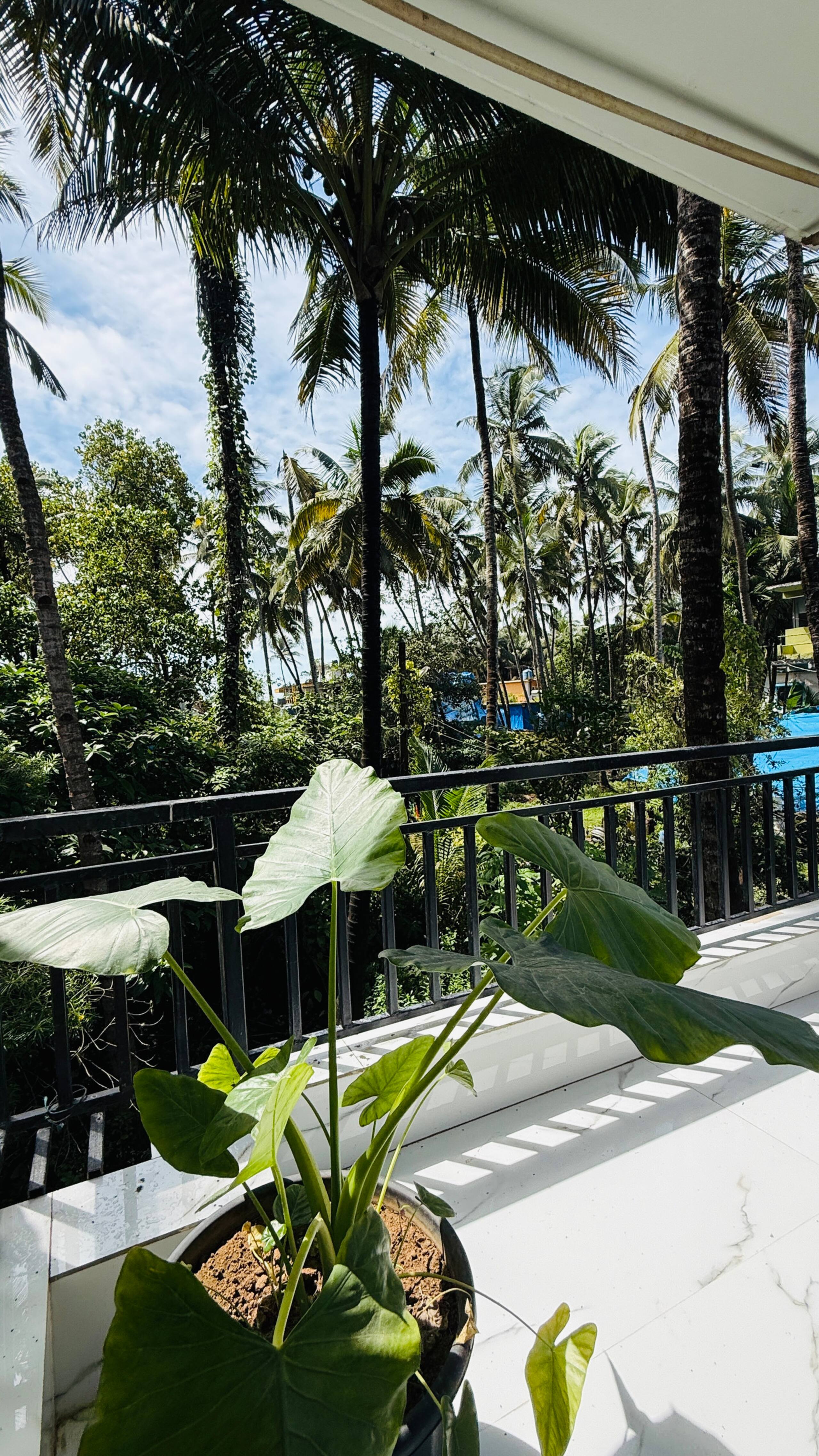 Ocean Stay Serene Beach Escape 2Min Walk to Beach 25