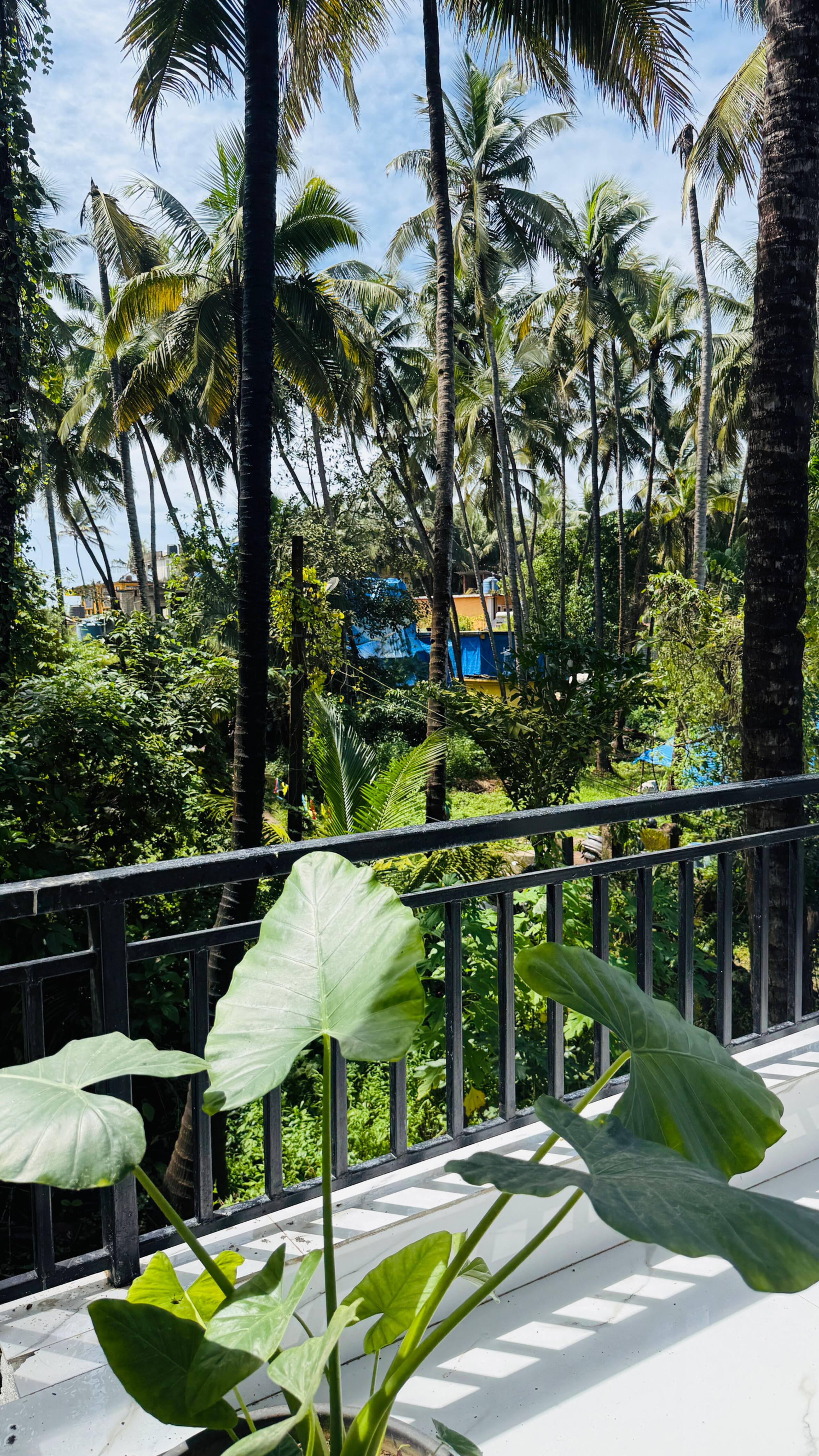 Ocean Stay Serene Beach Escape 2Min Walk to Beach 26