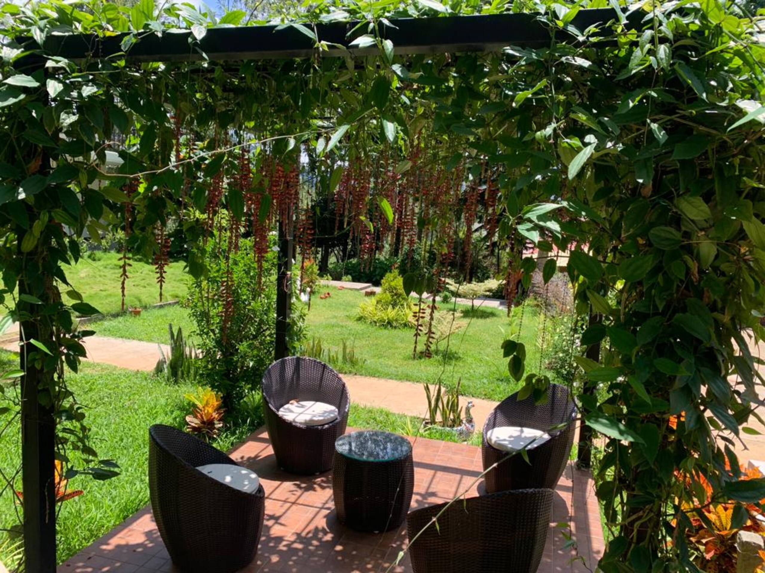 Livingston Homestay-Wooden Cottage-Chikmagalur 17