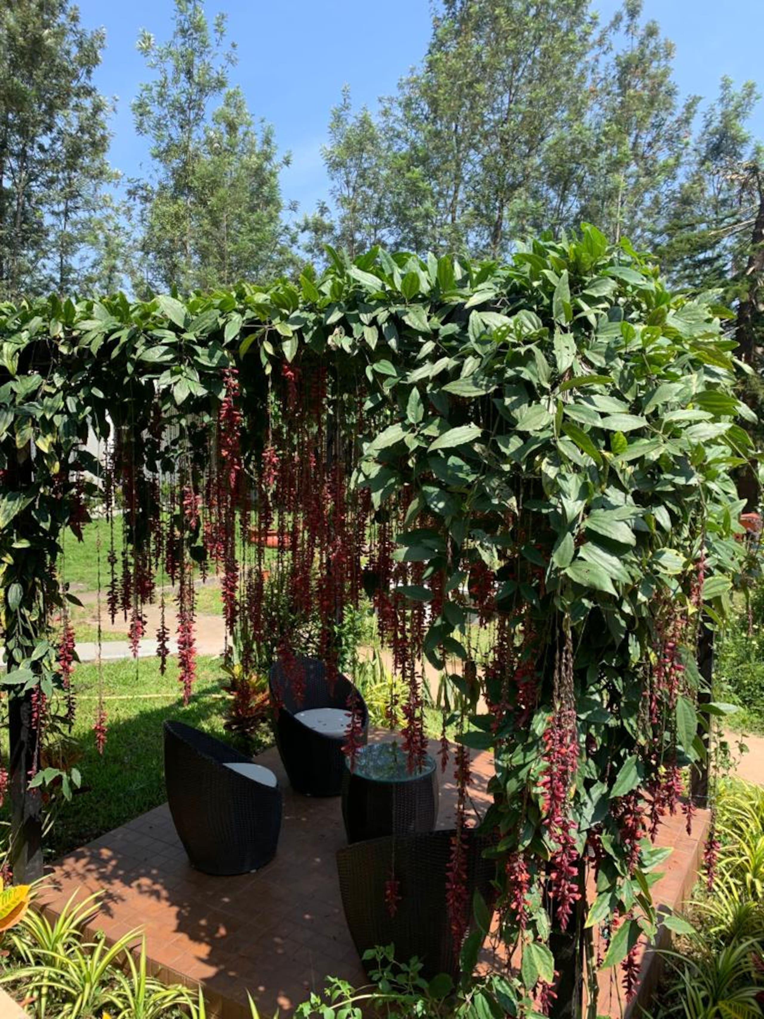 Livingston Homestay-Wooden Cottage-Chikmagalur 16