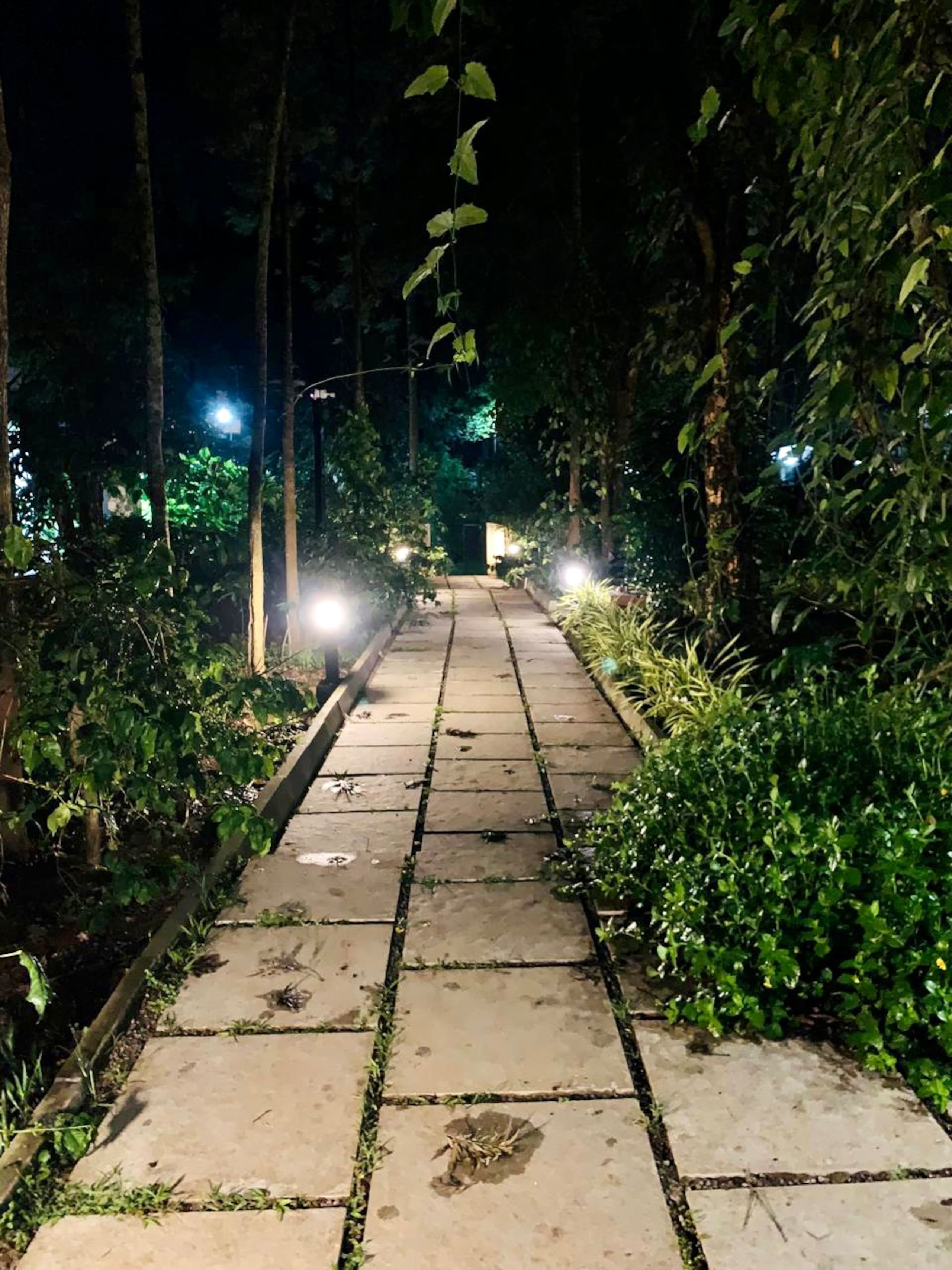 Livingston Homestay-Wooden Cottage-Chikmagalur 21