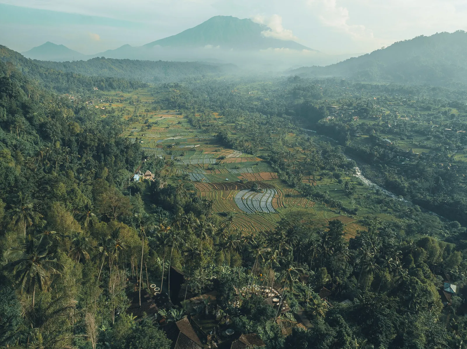 Veluvana Mountain - Turtle House 6
