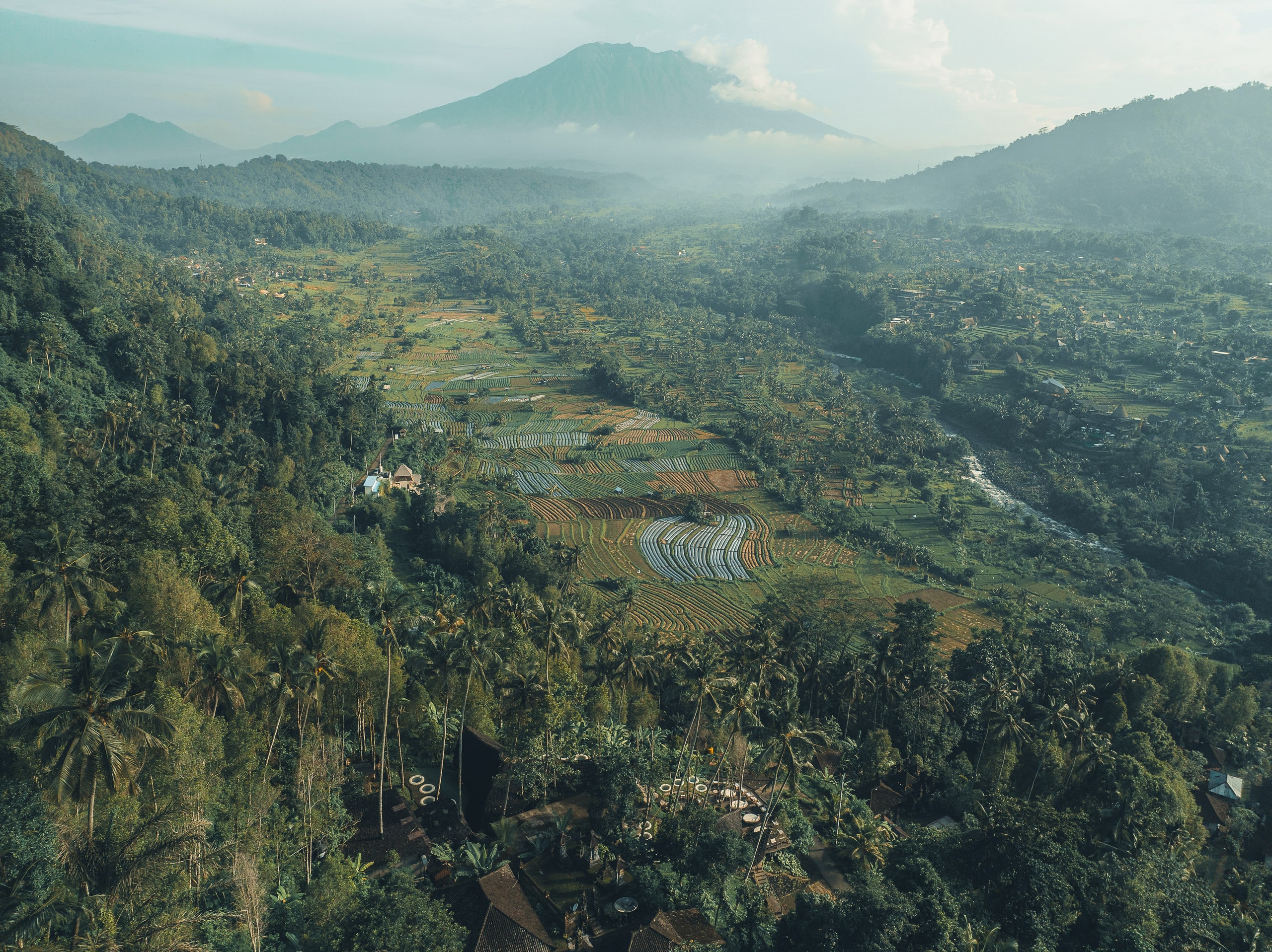 Veluvana Mountain - Turtle House 6
