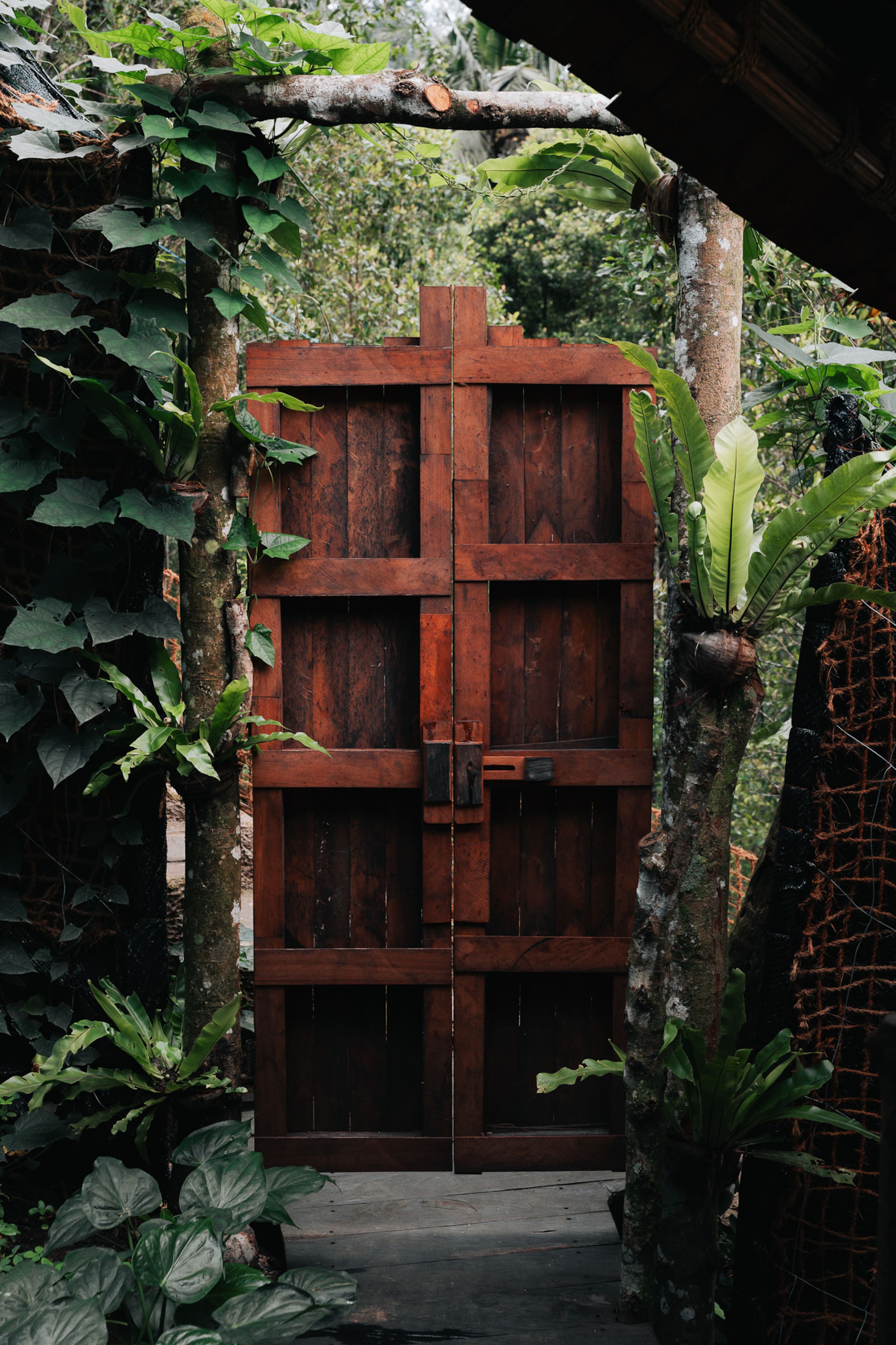 Veluvana Mountain - Turtle House 14